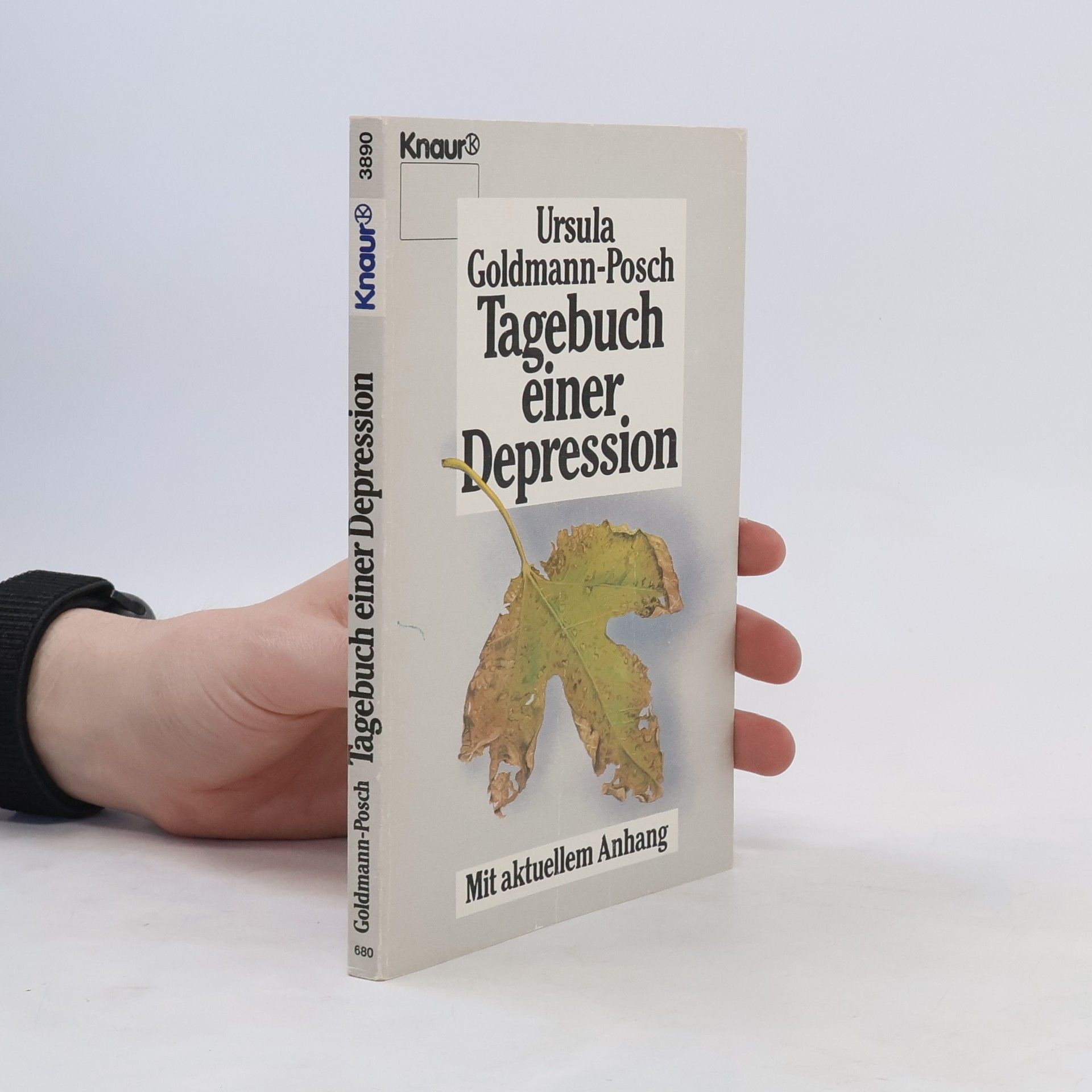 Ursula Goldmann-Posch Tagebuch einer Depression