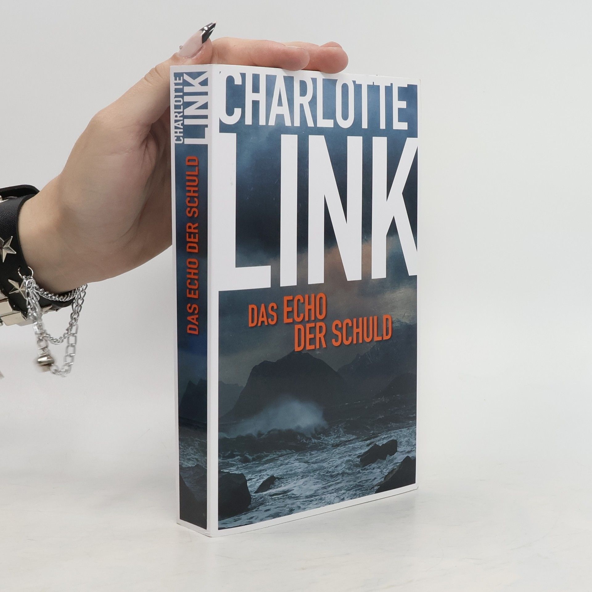 Charlotte Link Das Echo der Schuld