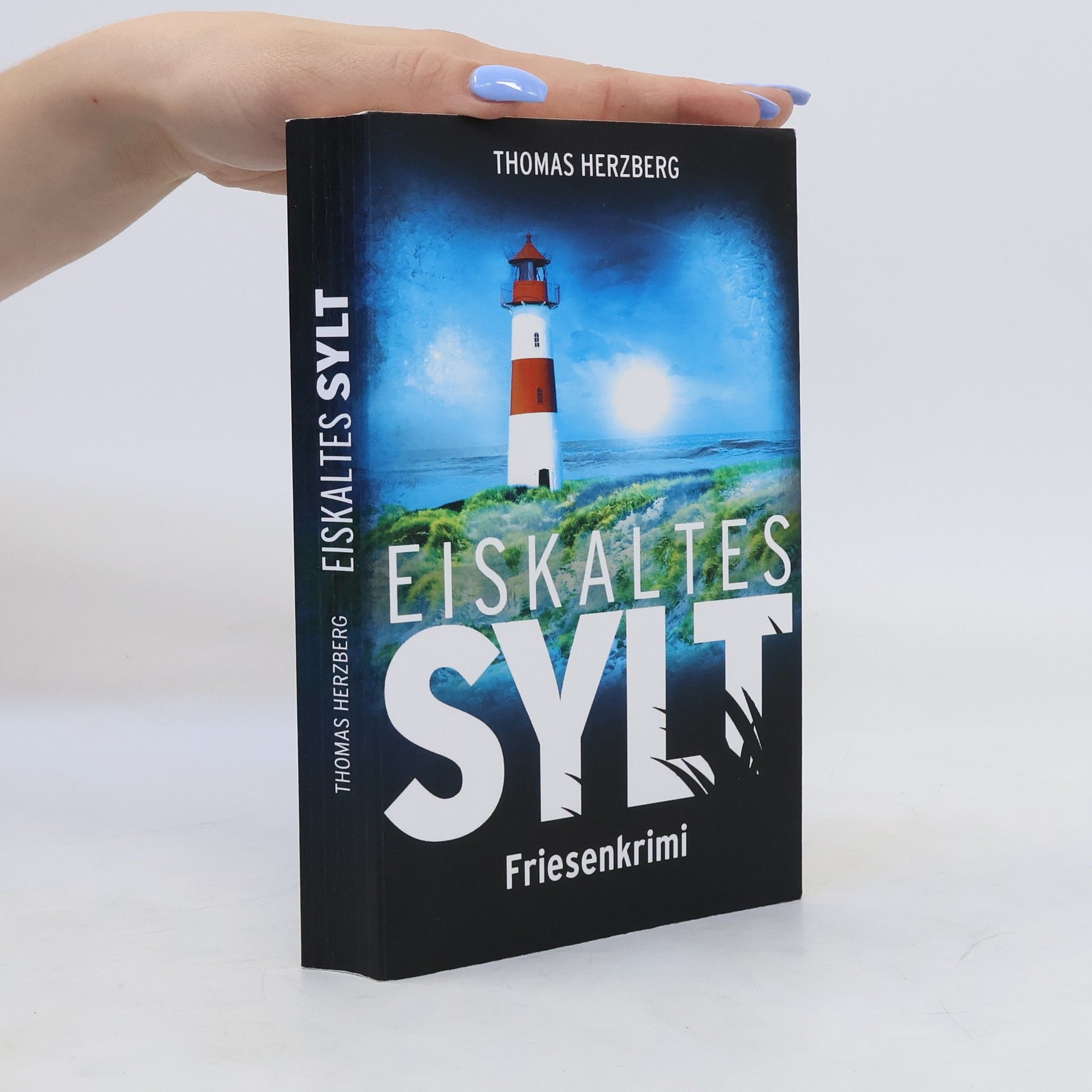 Thomas Herzberg Eiskaltes Sylt