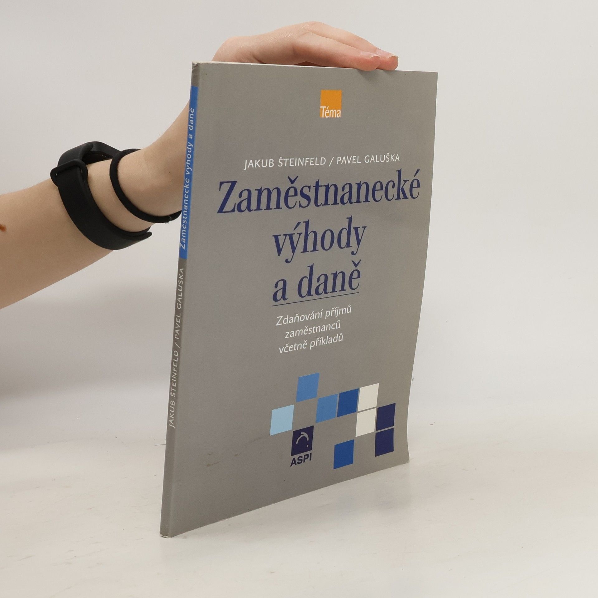 Jakub Šteinfeld Zaměstnanecké výhody a daně
