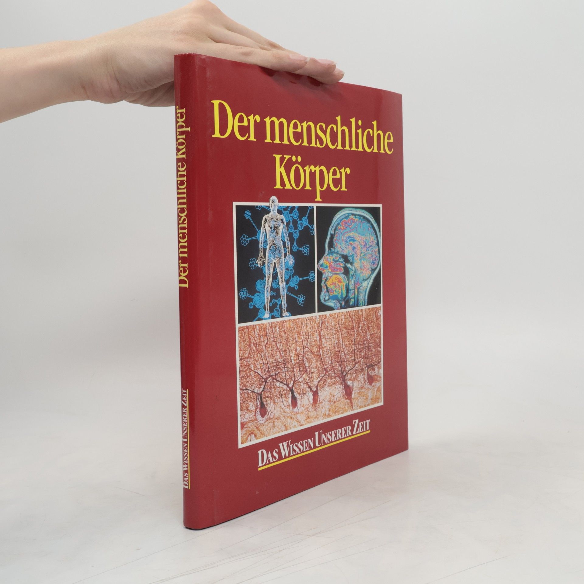 Collectif d'auteurs Der menschliche Körper