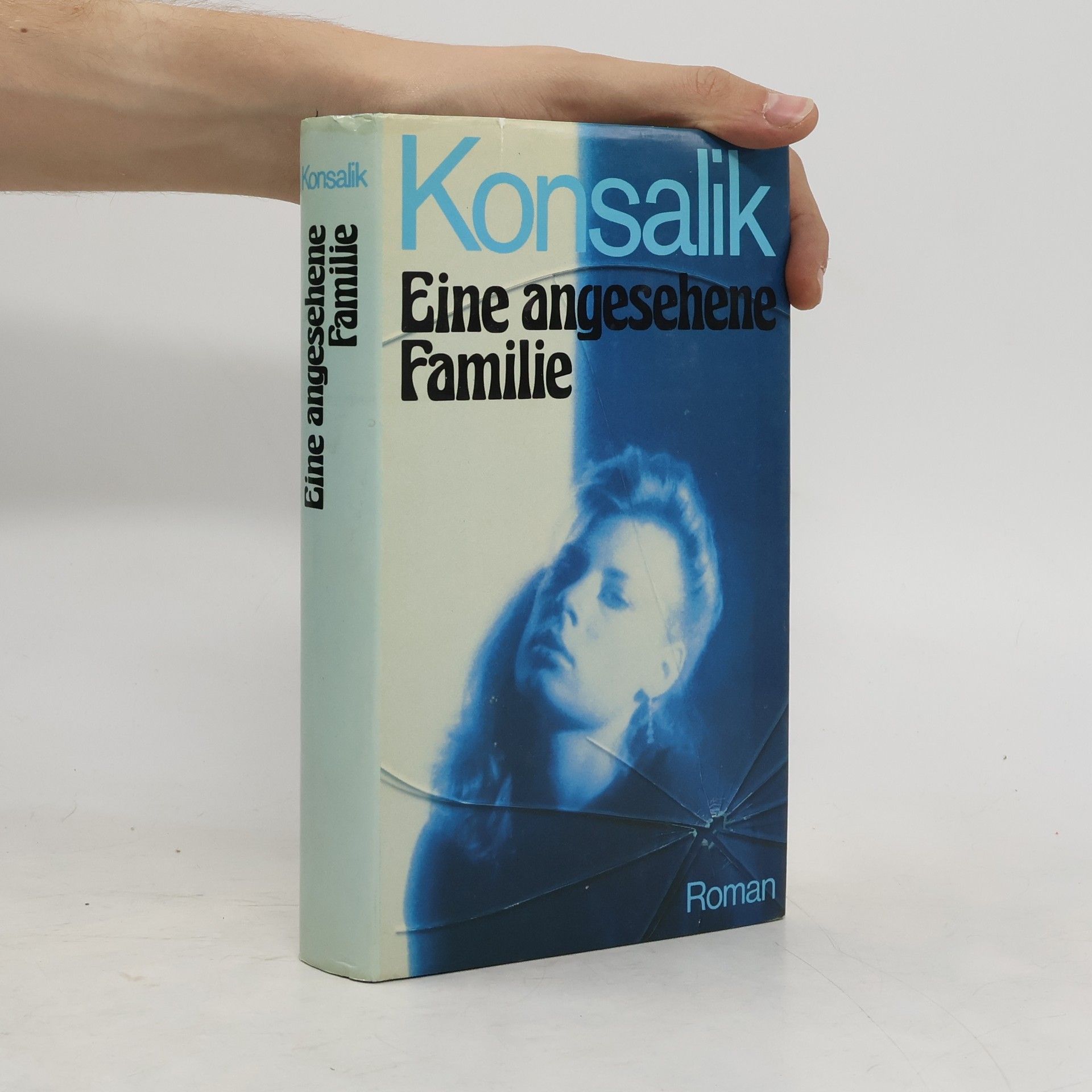 Heinz G. Konsalik Eine angesehene Familie