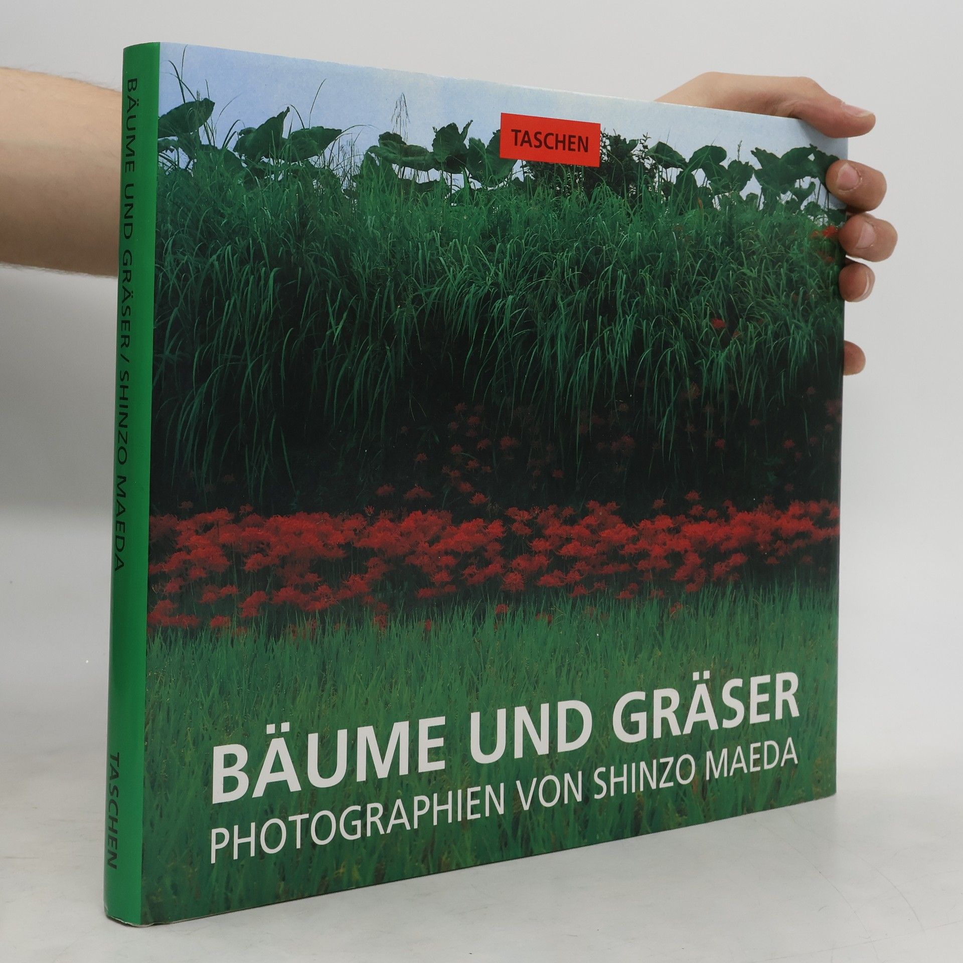 Shinzo Maeda Bäume und Gräser