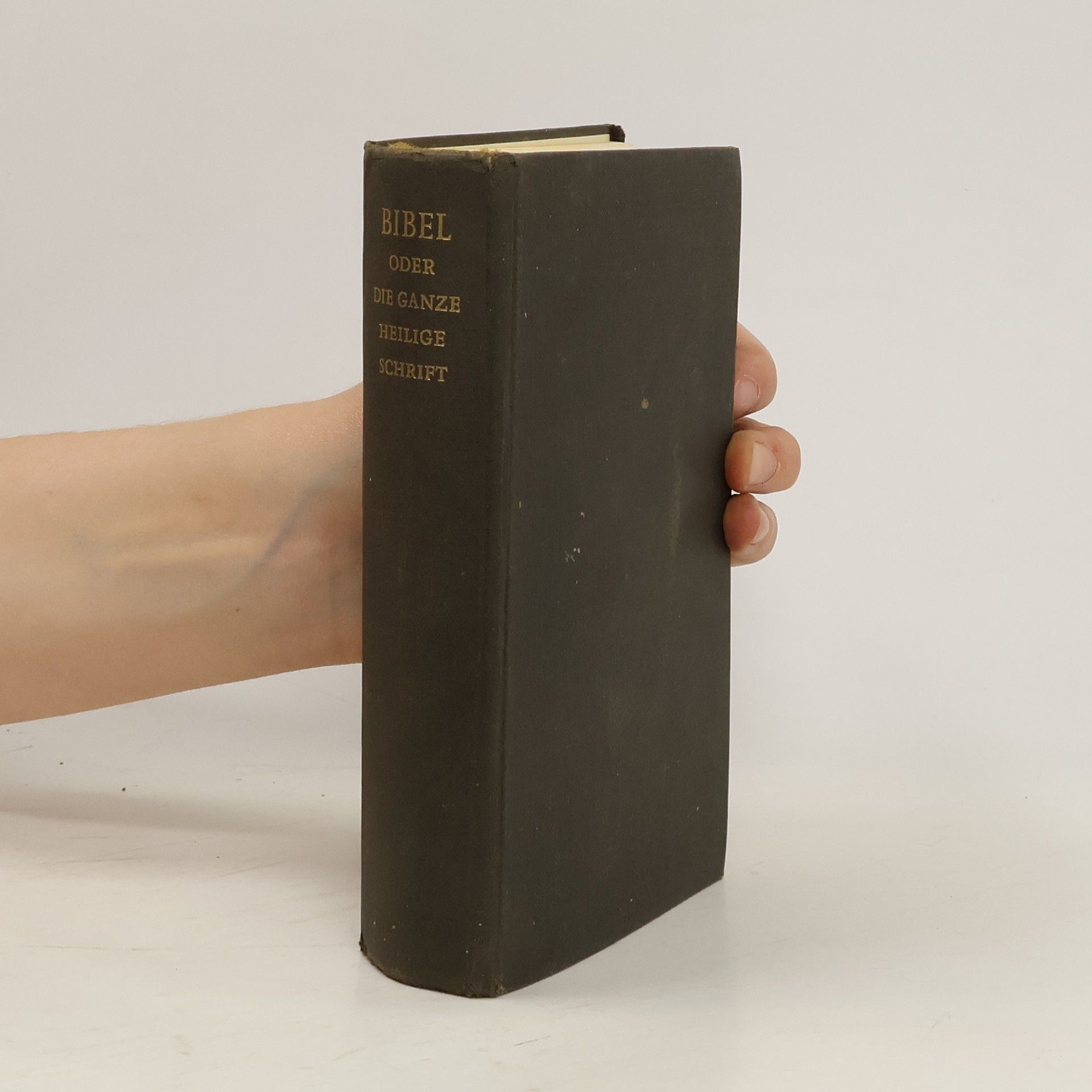 Collectif d'auteurs Die Bibel oder die ganze Heilige Schrift das Alten und Neuen Testaments