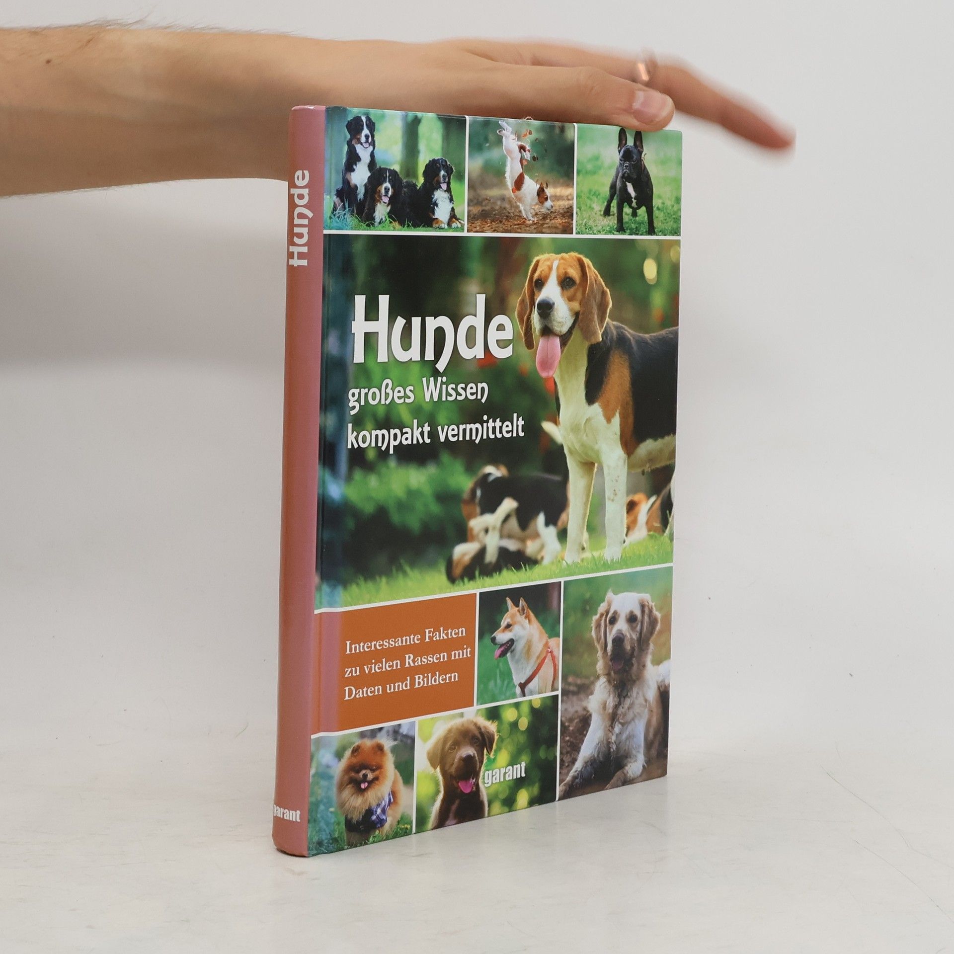 Autorenkollektiv Hunde