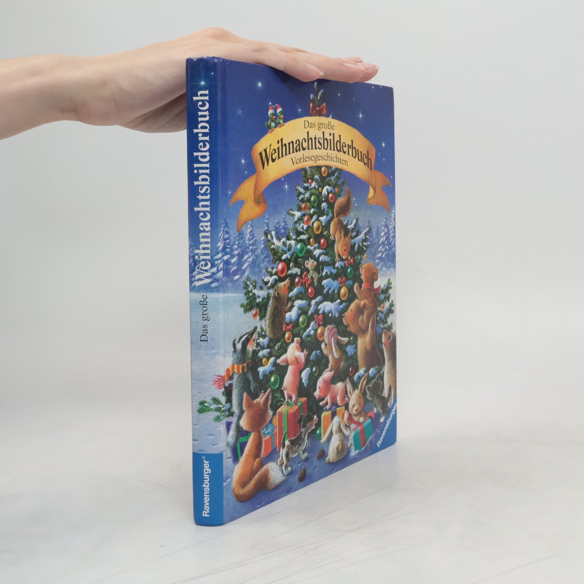 Karin Amann Das große Weihnachtsbilderbuch