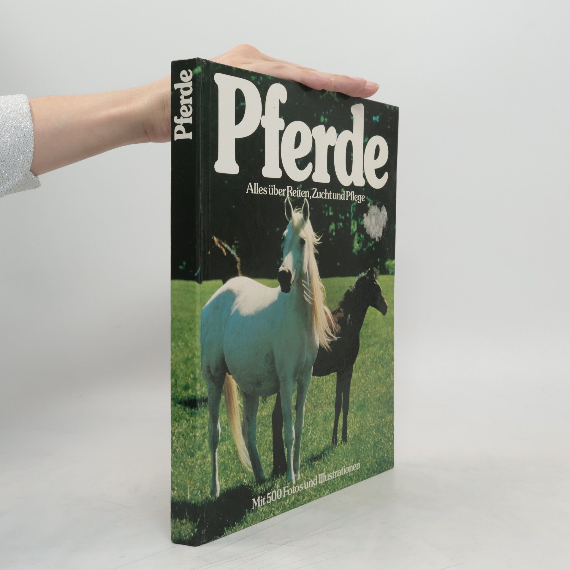 Autorenkollektiv Pferde - Alles über Reiten, Zucht und Pflege - Die wichtigsten Rassen