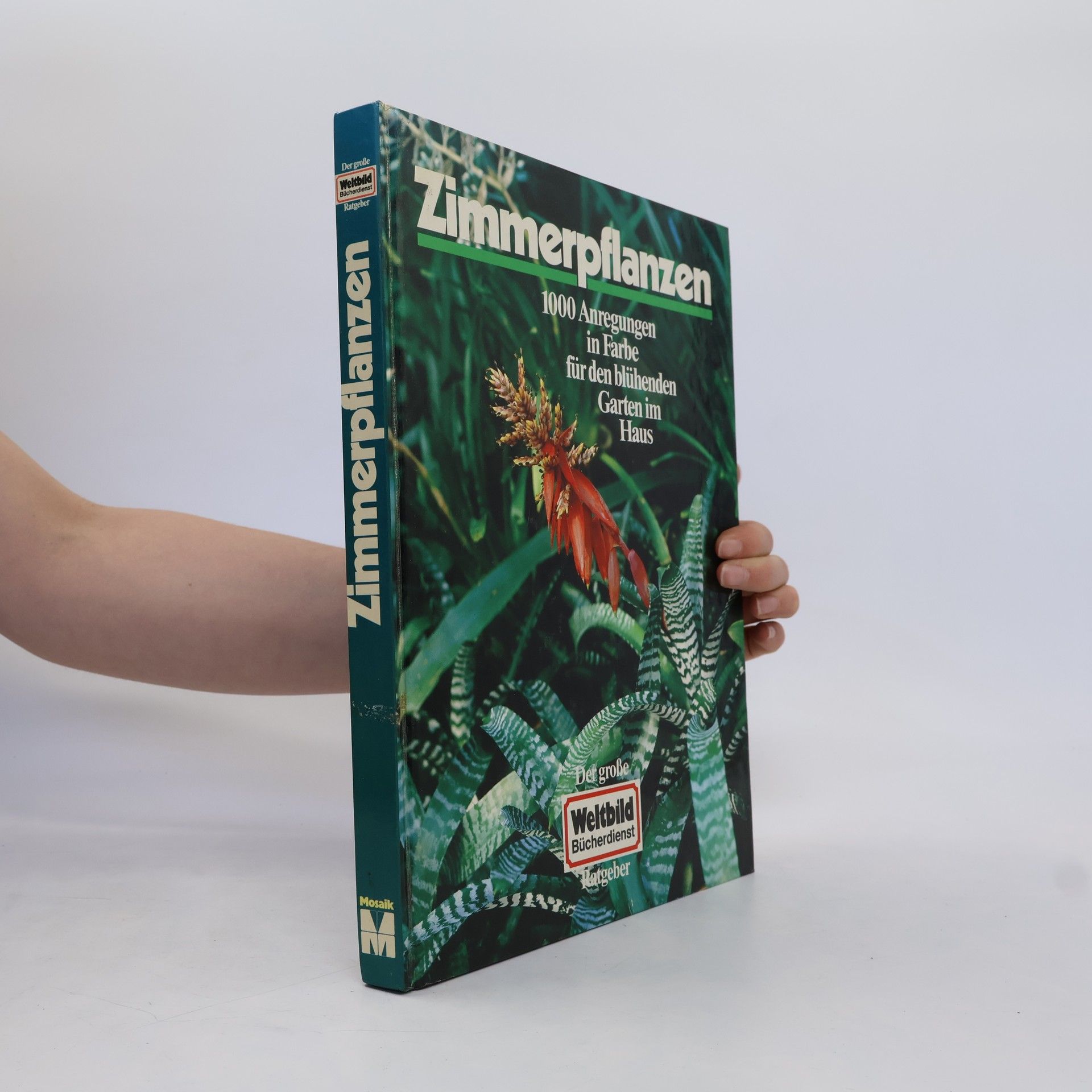Thomas. Rochford Zimmerpflanzen. Der große Blumen Born Pflanzen- Ratgeber. 1000 Anregungen in Farbe für den blühenden Garten im Haus.