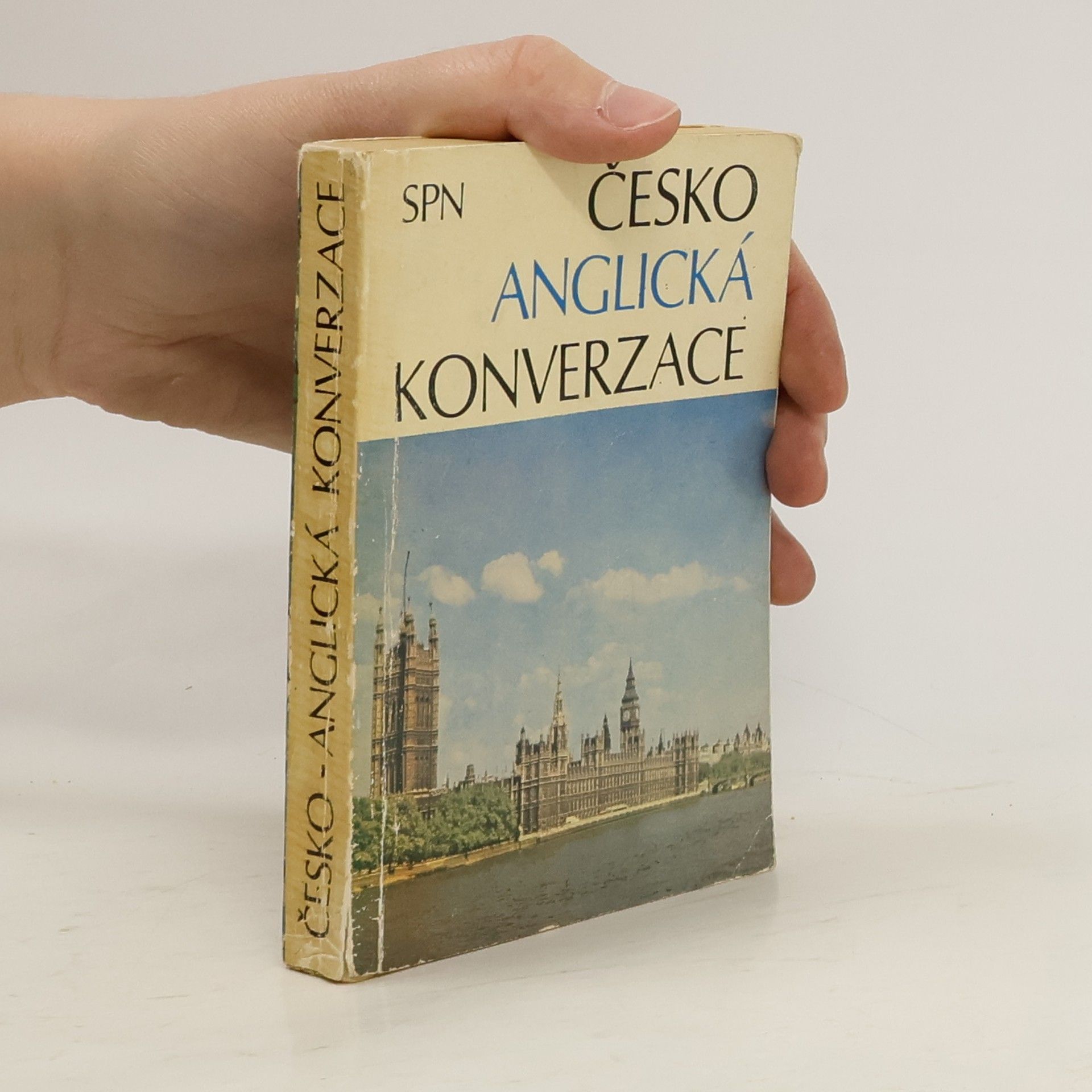 Jarmila Janešová Česko-anglická konverzace