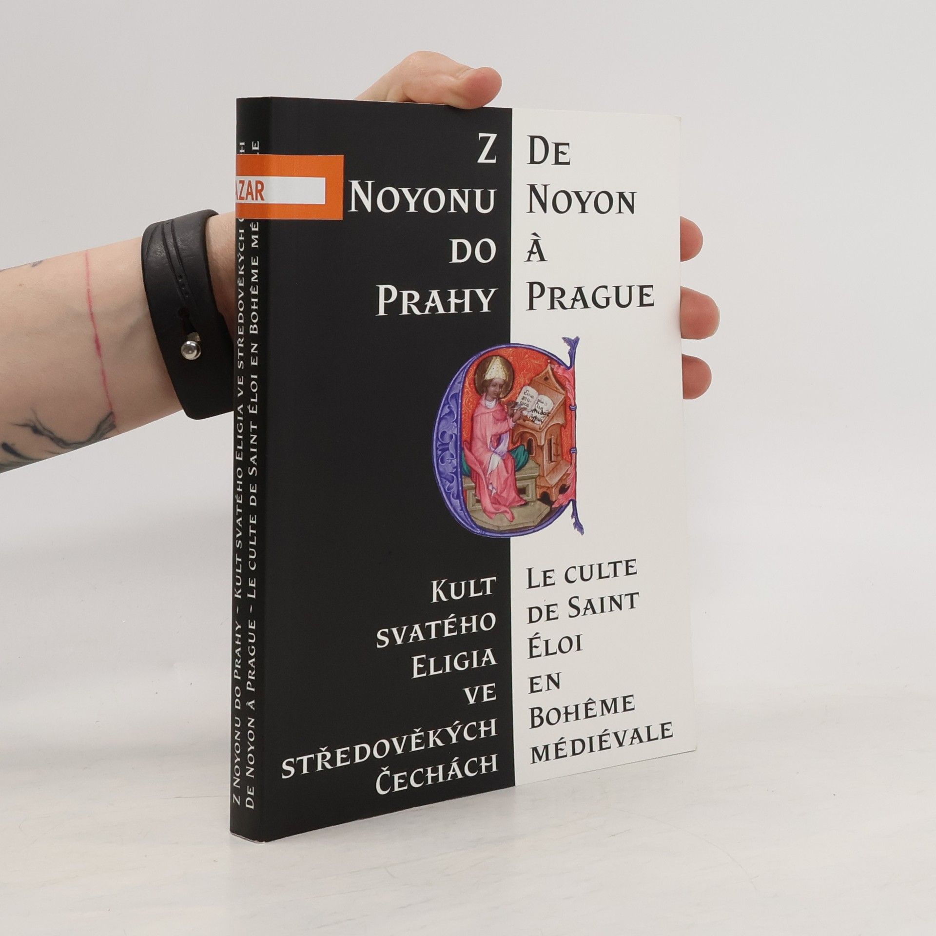 Hana Pátková Z Noyonu do Prahy