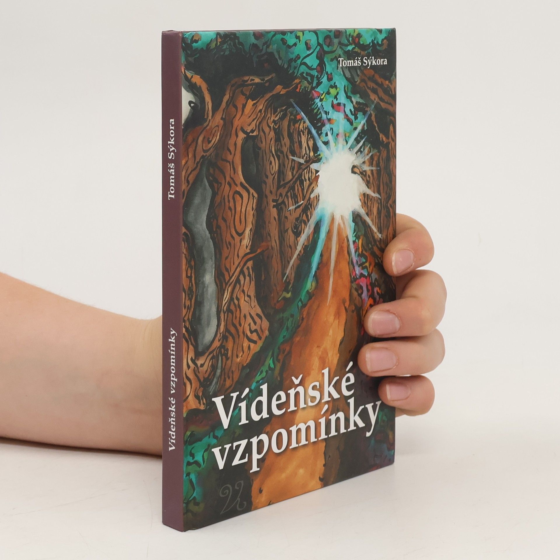 Tomáš Sýkora Vídeňské vzpomínky