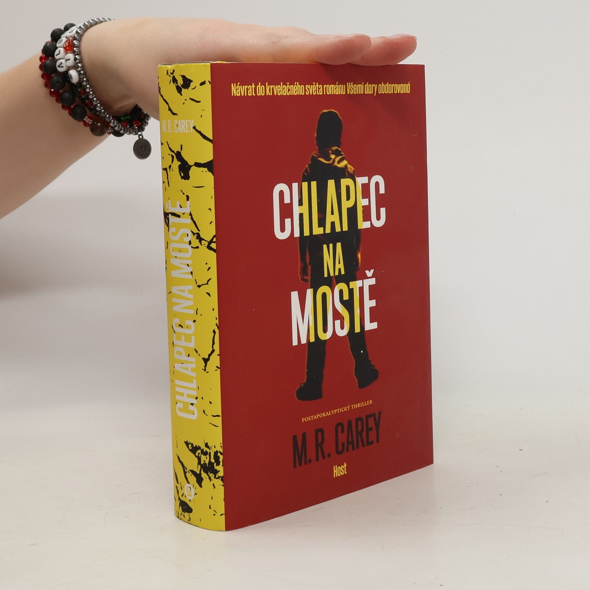 M. R. Carey Chlapec na mostě
