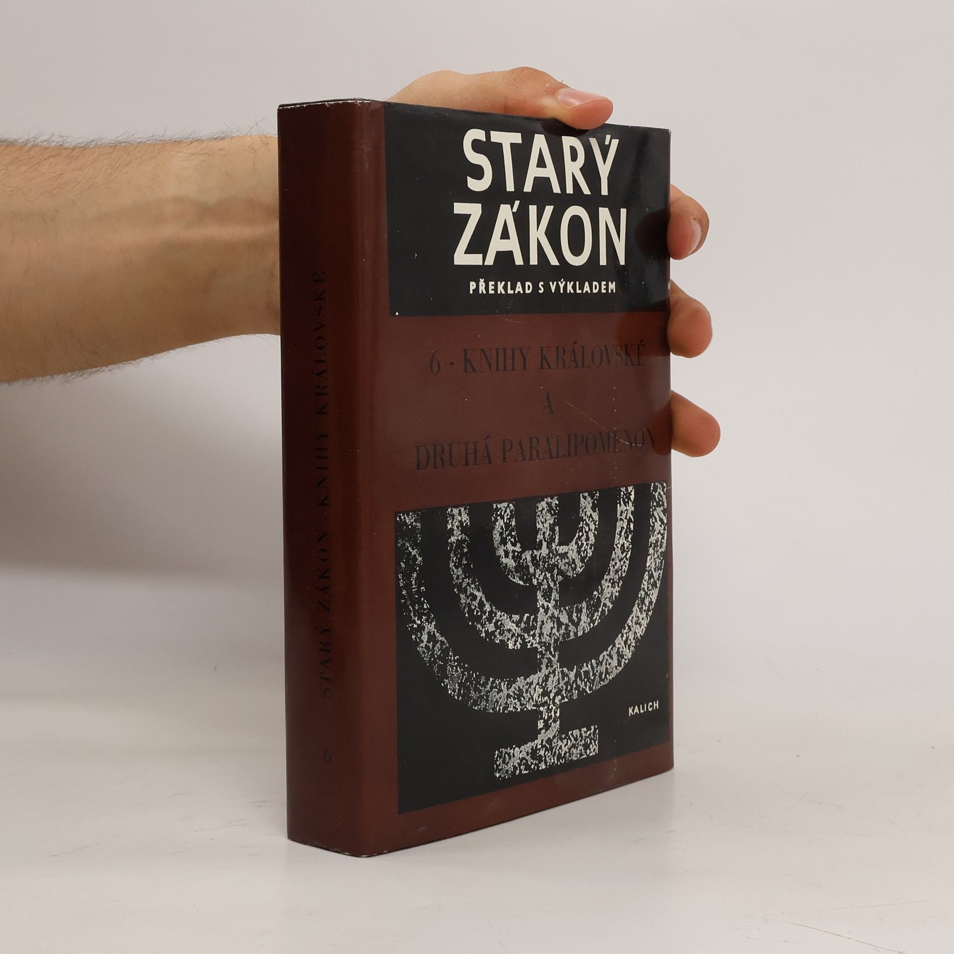 kolektiv Starý zákon 6. Knihy královské a druhá Paralipomenon