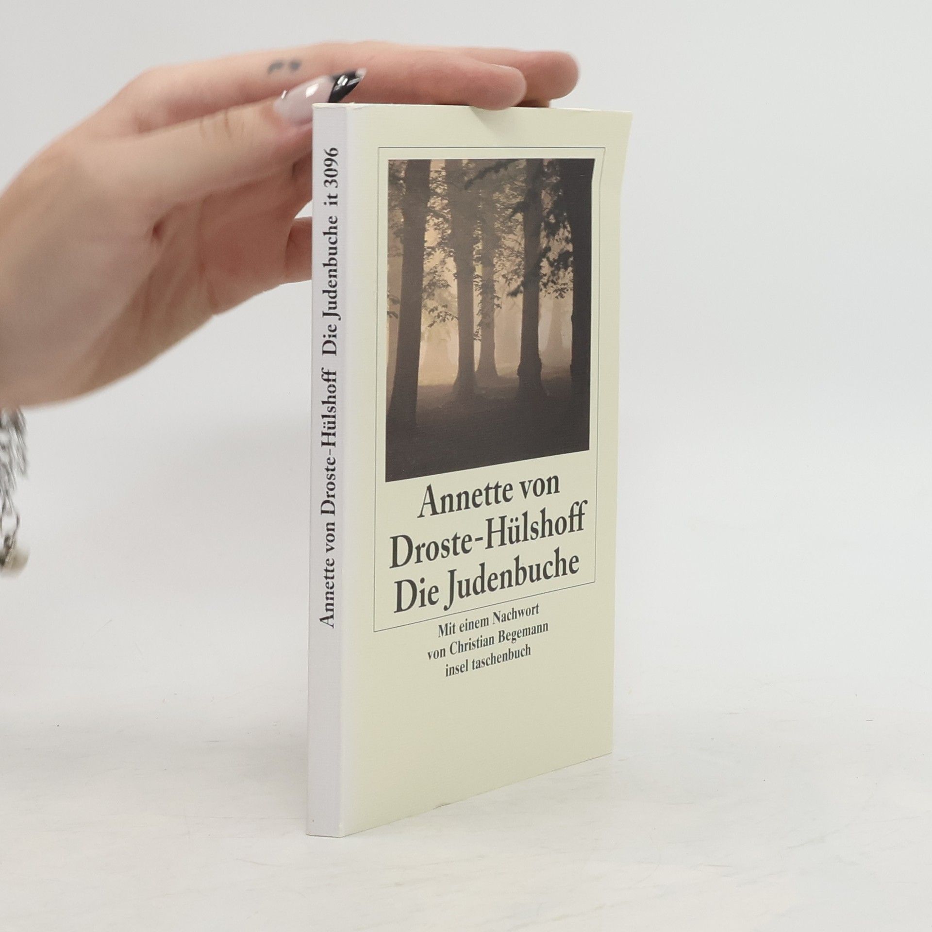 Annette von Droste-Hülshoff Die Judenbuche