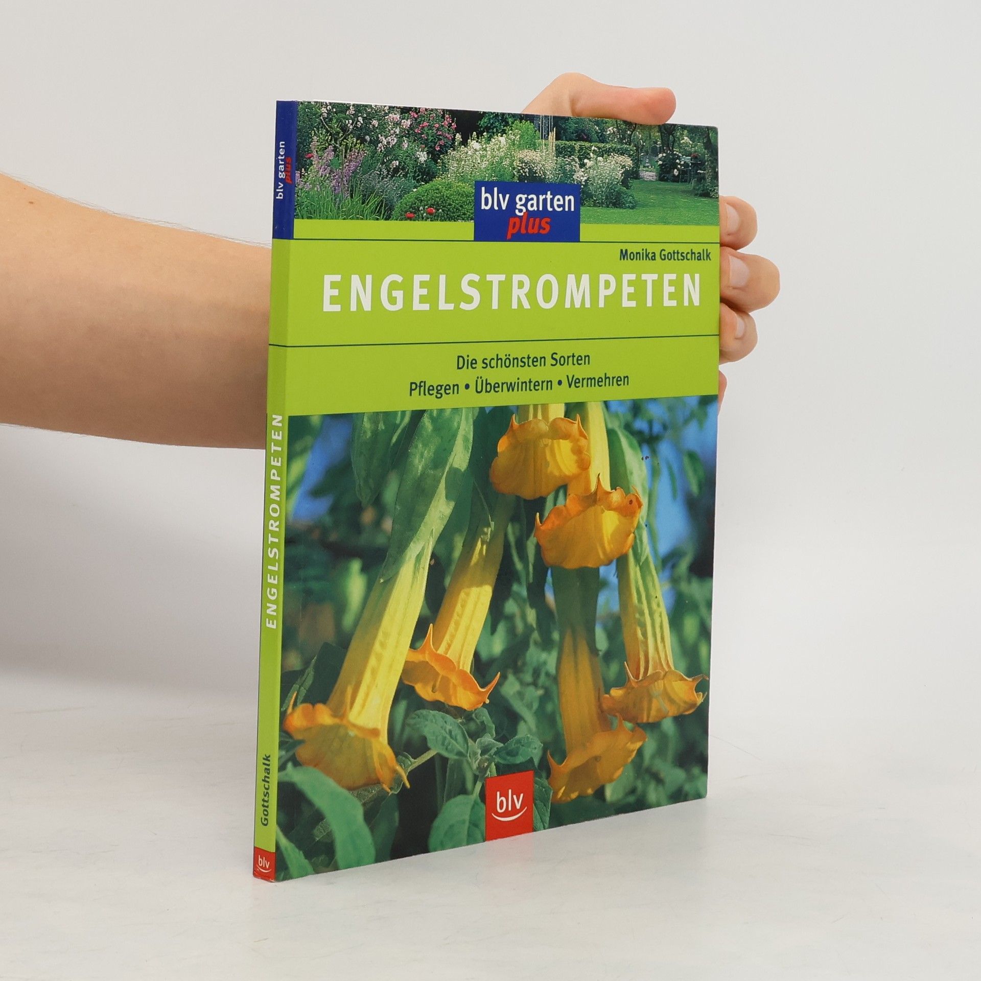 Monika Gottschalk Engelstrompeten