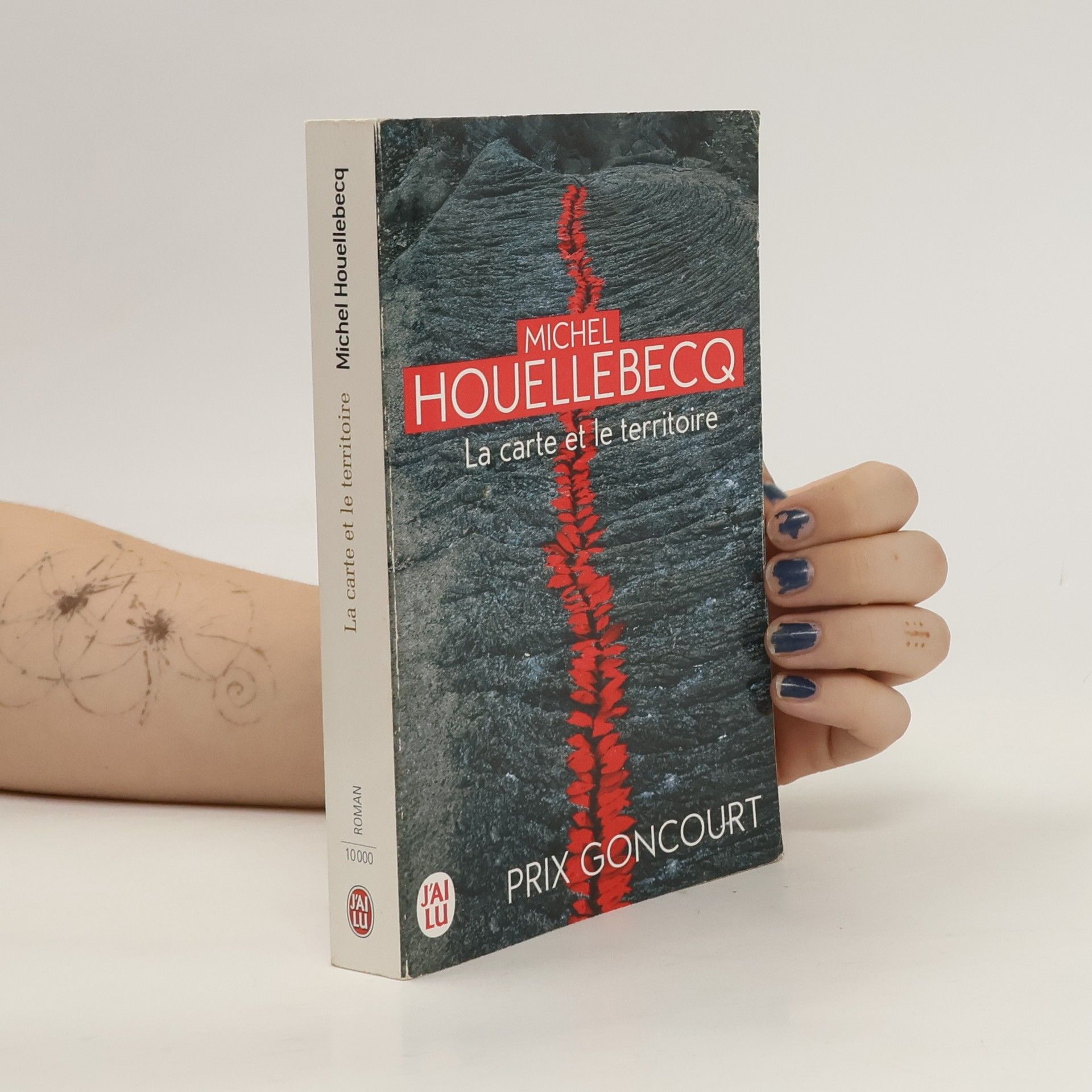 Michel Houellebecq La carte et le territoire: Roman