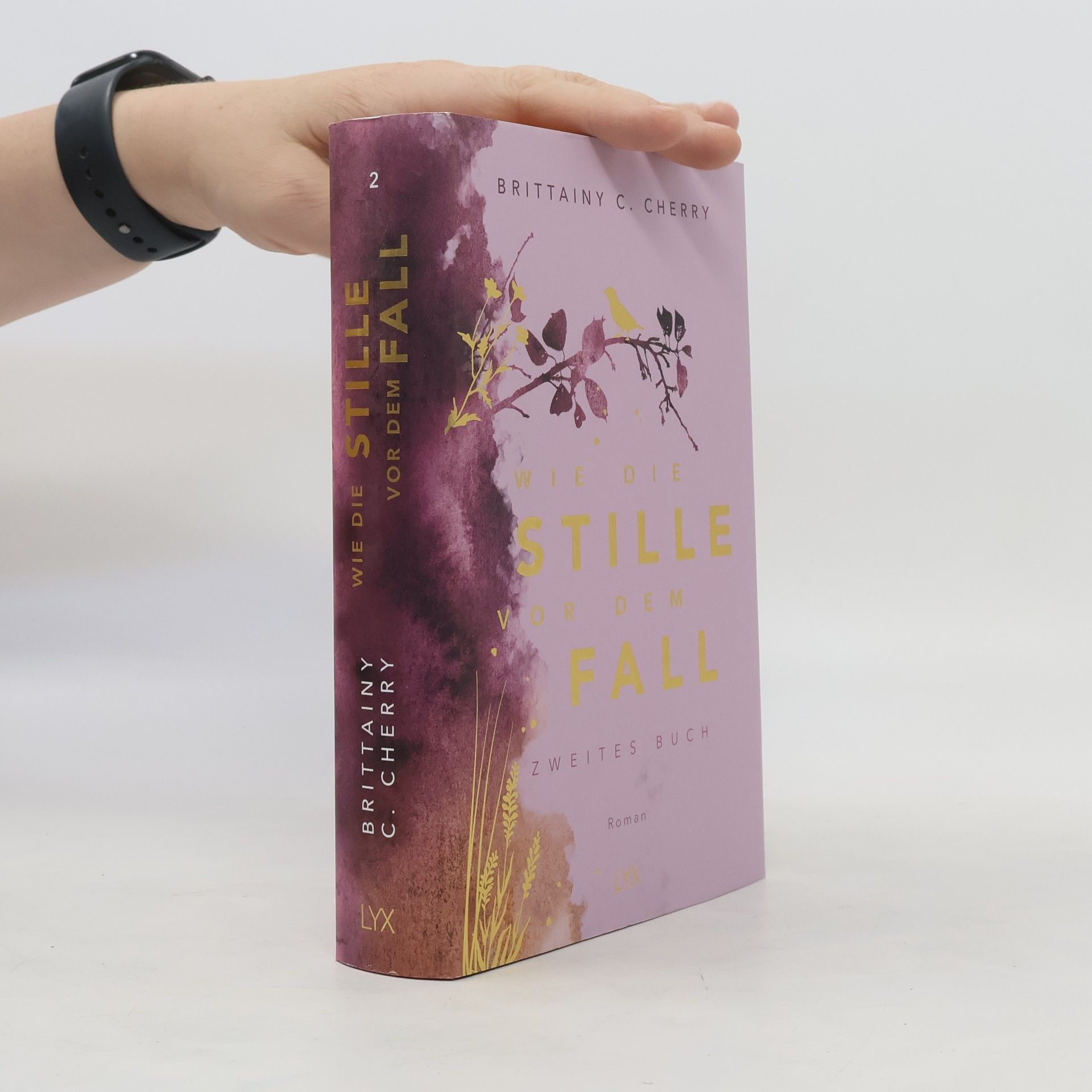 Brittainy C. Cherry Wie die Stille vor dem Fall. Zweites Buch: Special Edition