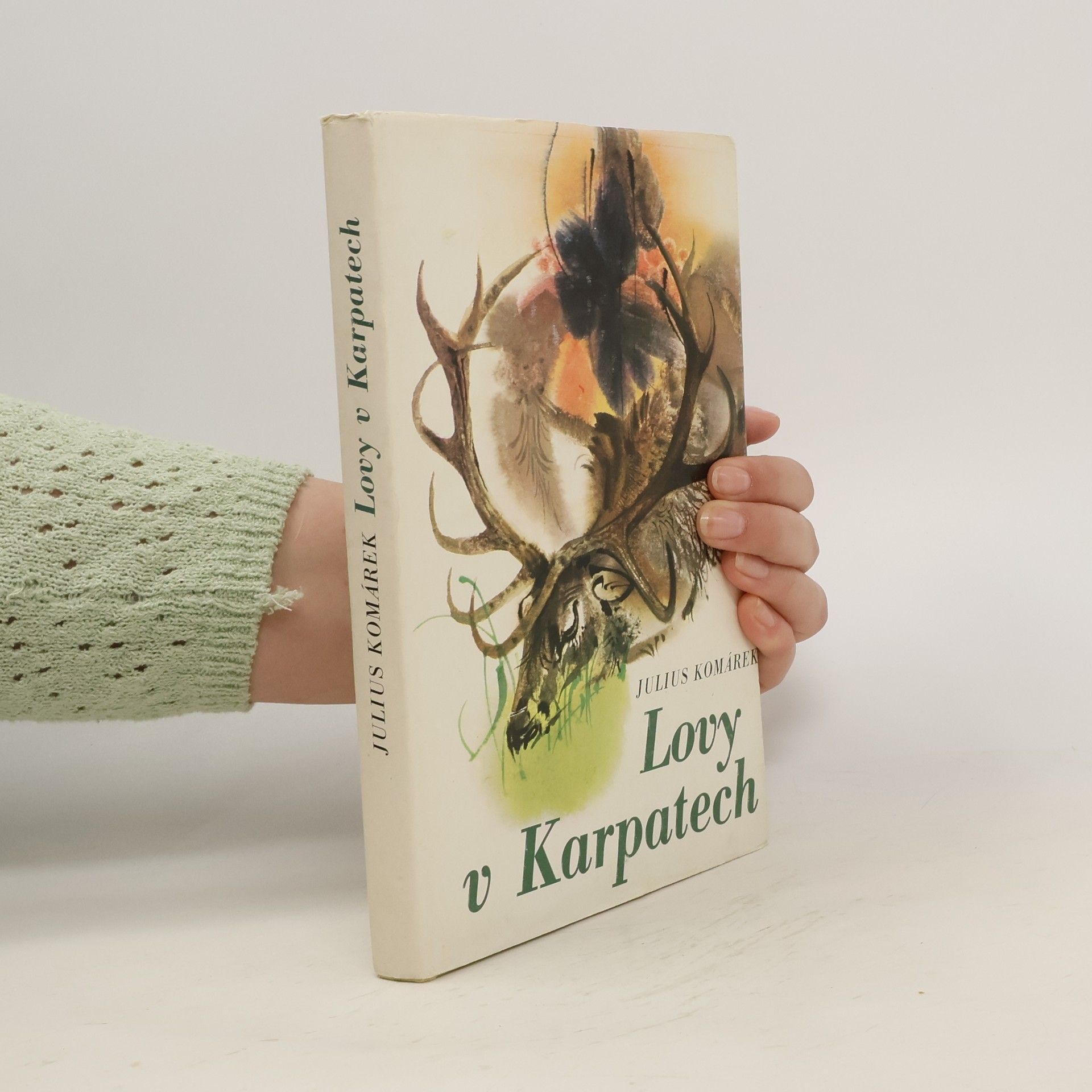 Julius Komárek Lovy v Karpatech