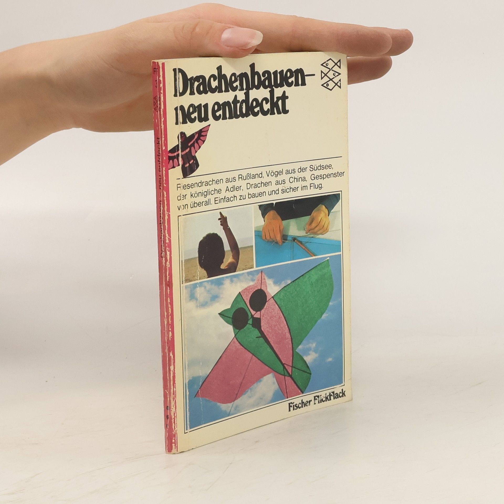 Collectif d'auteurs Drachenbauen neu entdeckt
