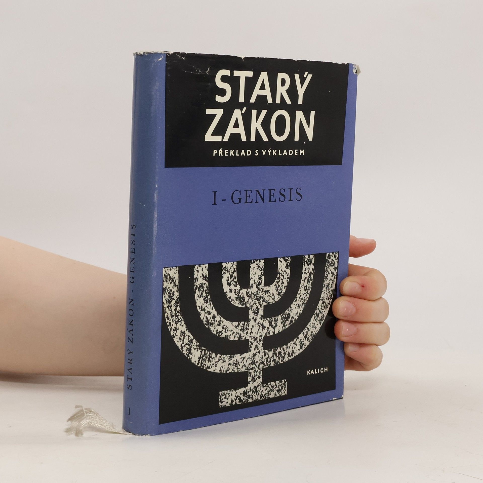 Autorenkollektiv Starý zákon. Genesis
