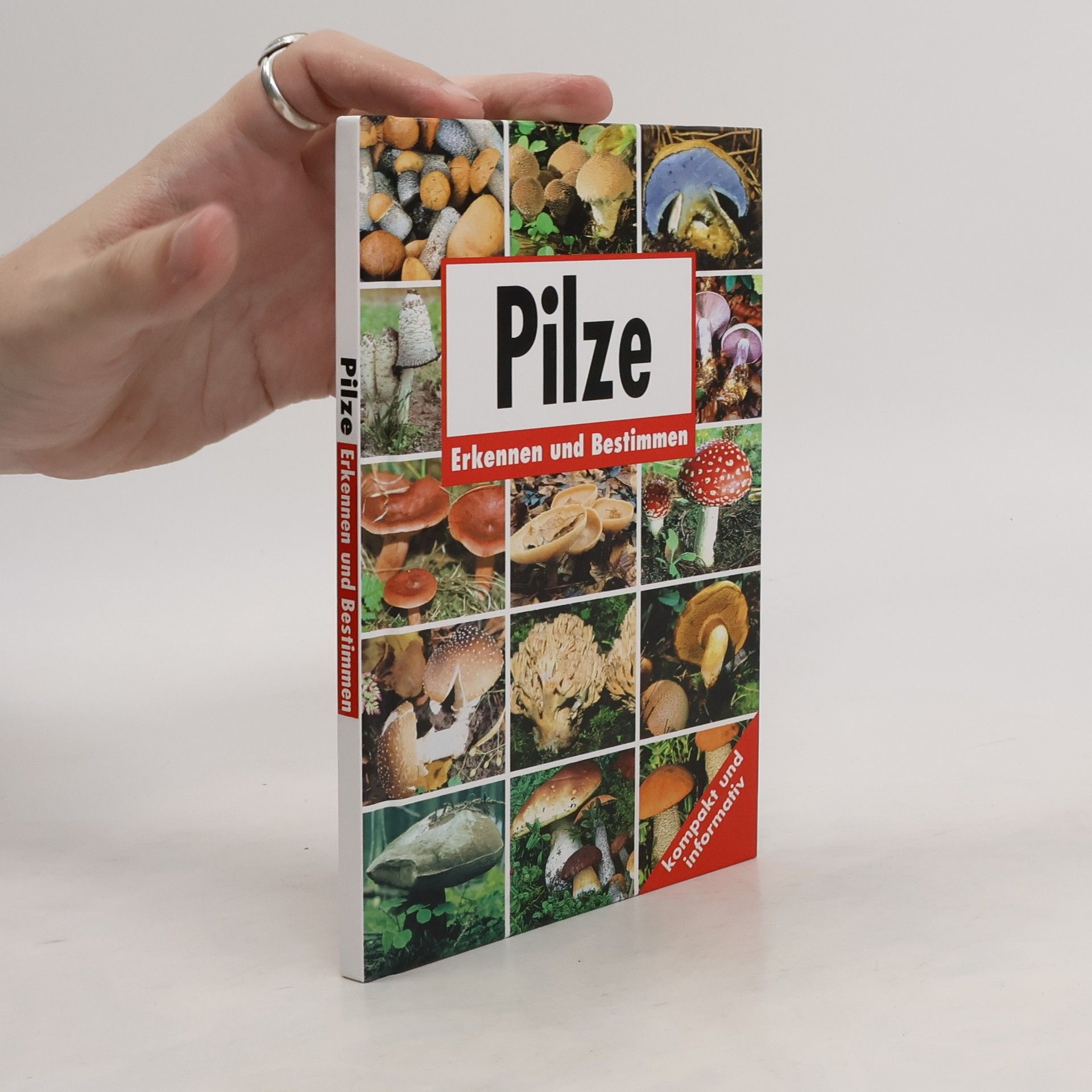 Autorenkollektiv Pilze. Erkennen und Bestimmen