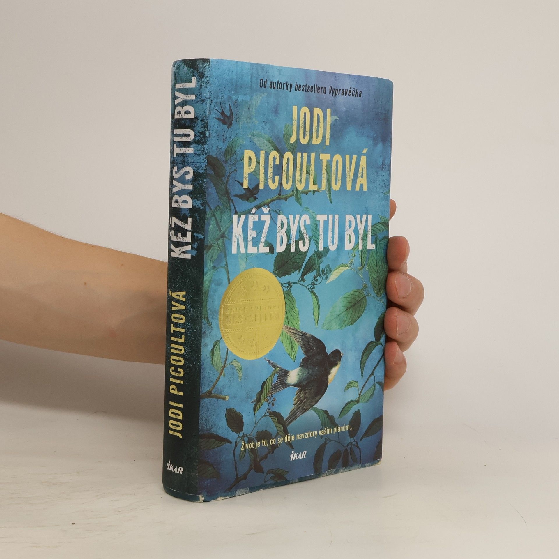 Marcela Nejedlá Kéž bys tu byl
