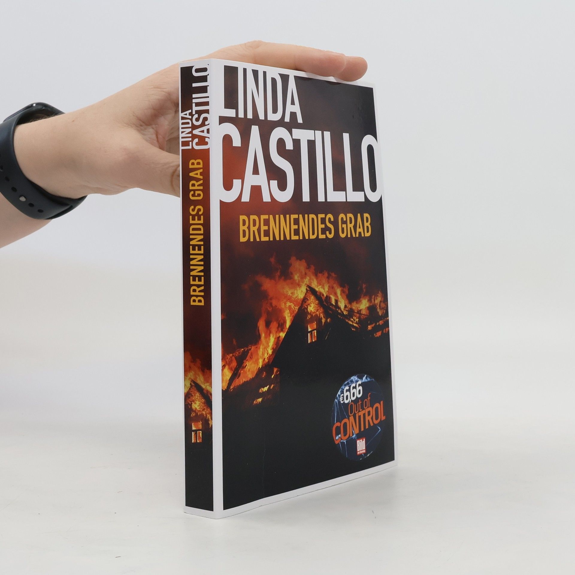 Linda Castillo Brennendes Grab
