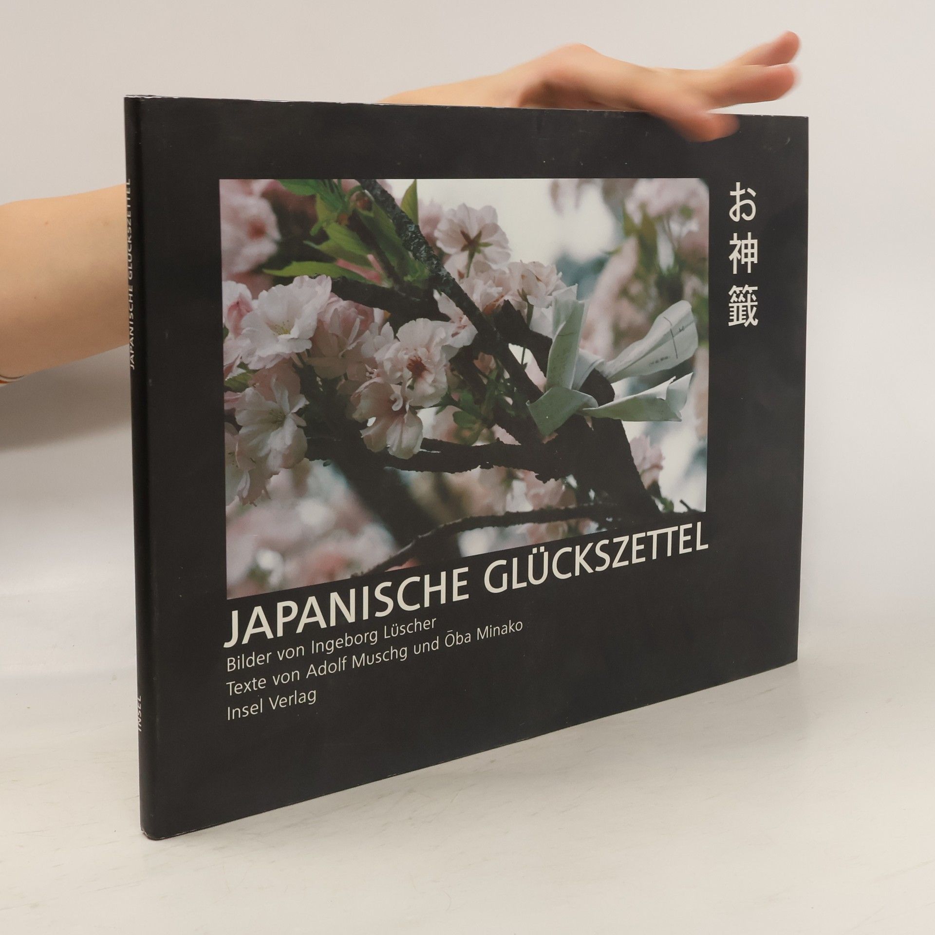 Ingeborg Lüscher Japanische Glückszettel