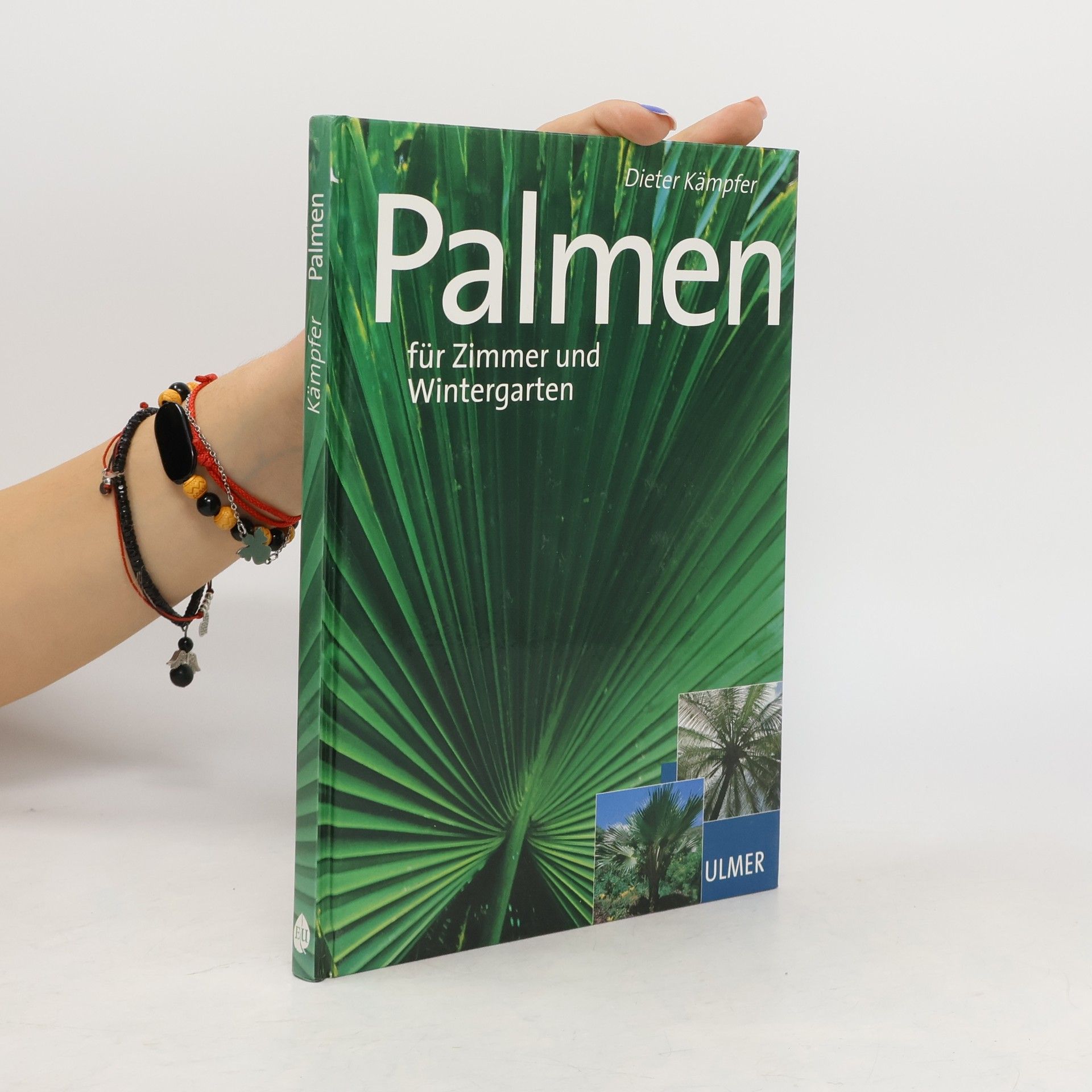 Dieter Kämpfer Schöne Palmen für Zimmer und Wintergarten