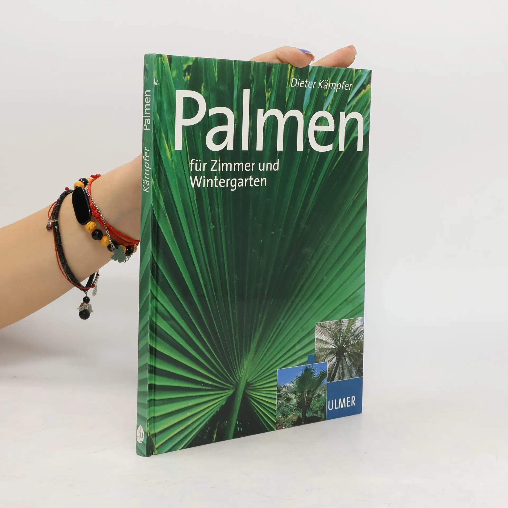Schöne Palmen für Zimmer und Wintergarten | Book | Dieter Kämpfer | DE