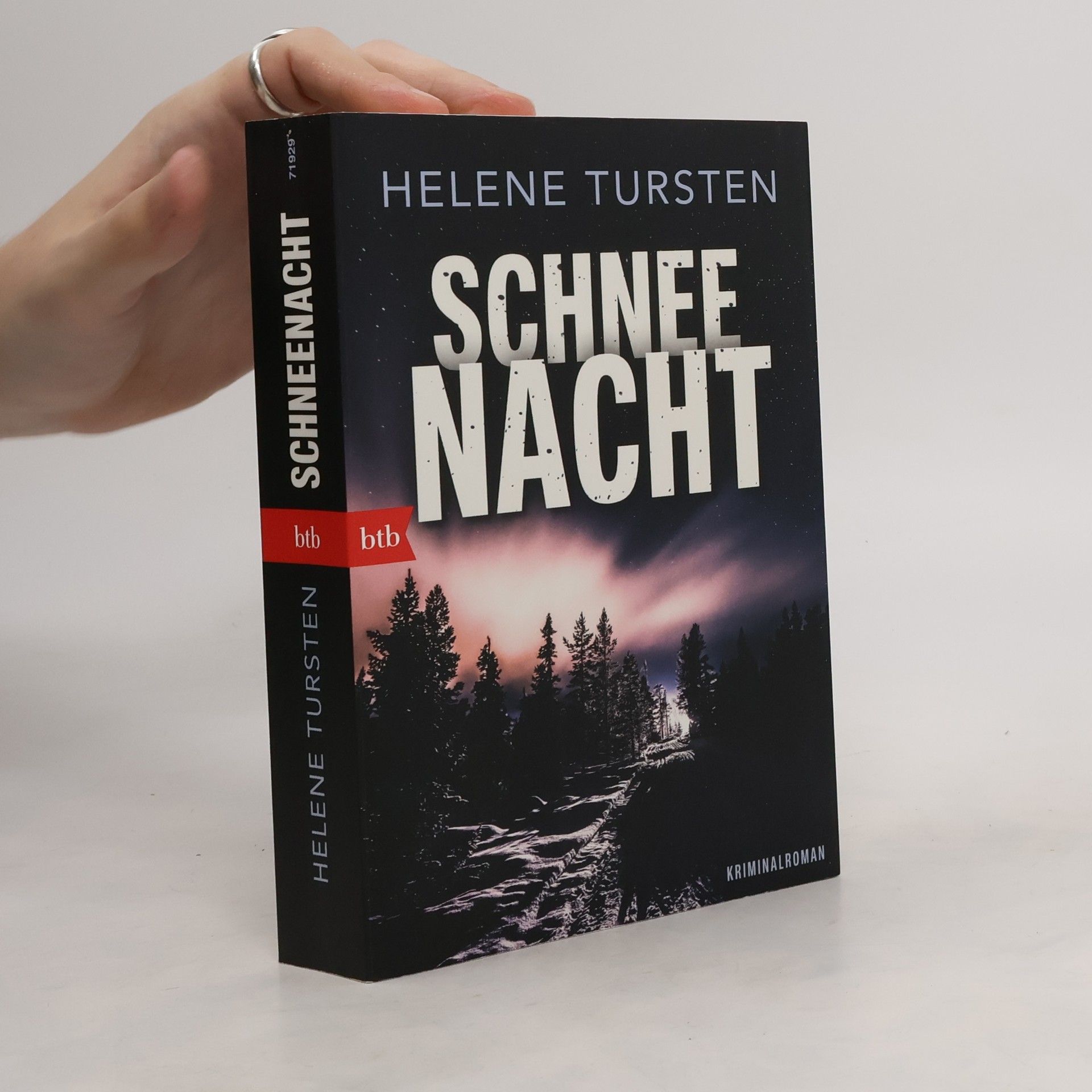Helene Tursten Schneenacht
