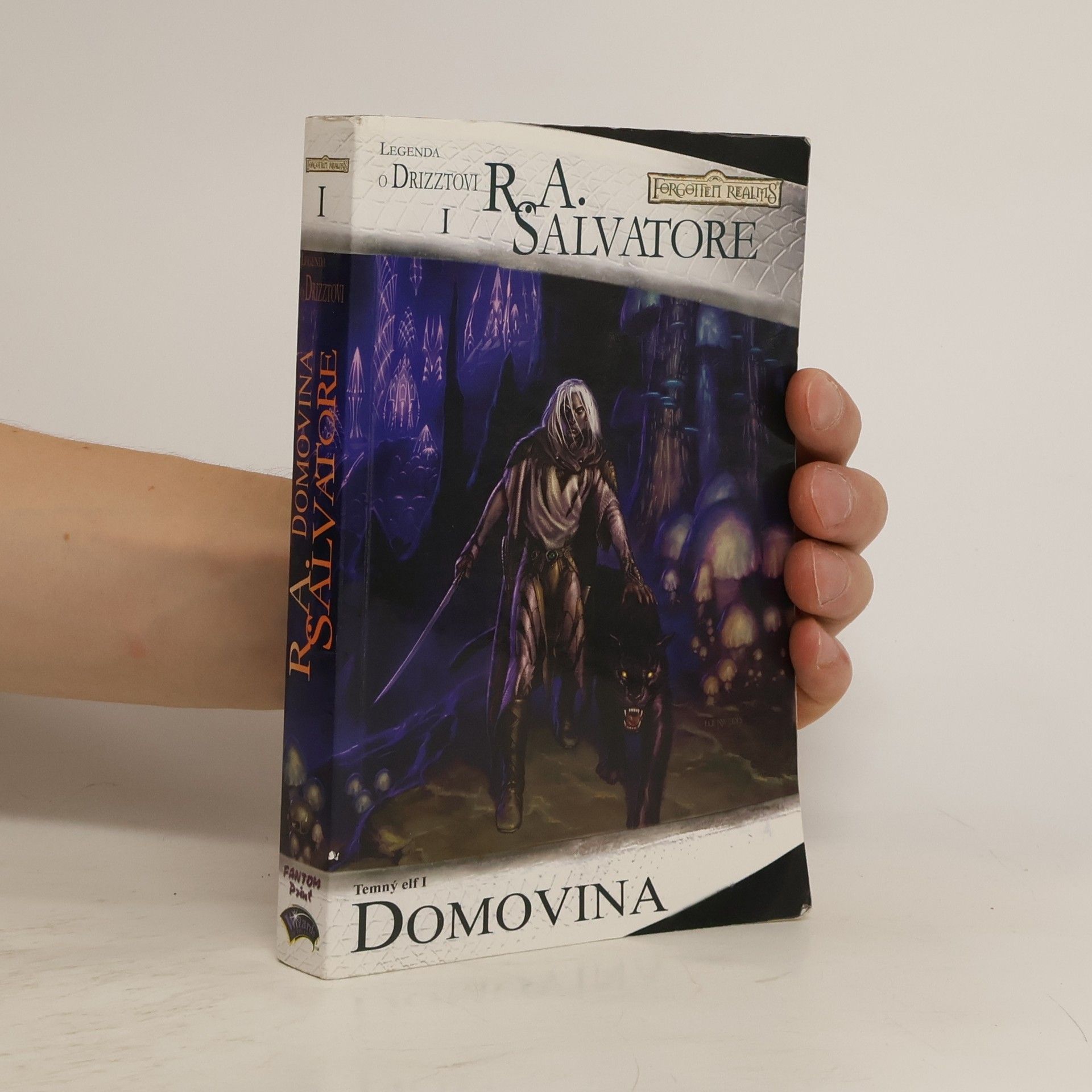Robert Anthony Salvatore Temný elf. I, Domovina