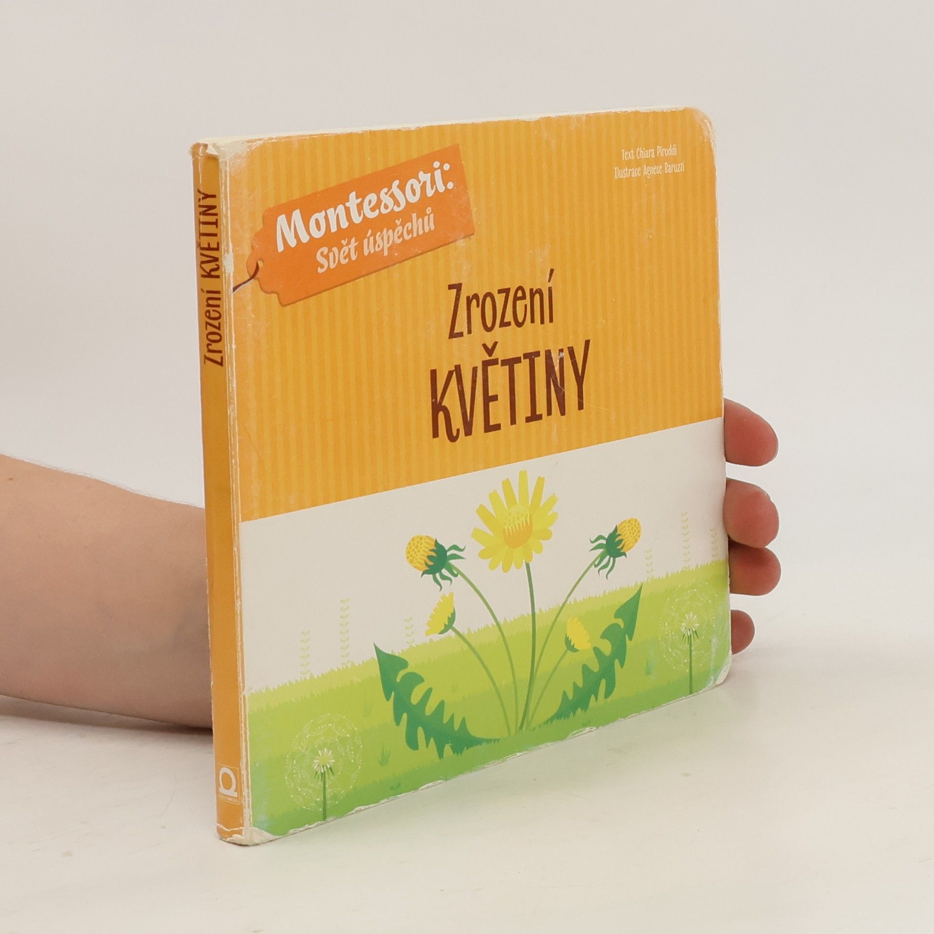 Chiara Piroddi Zrození květiny
