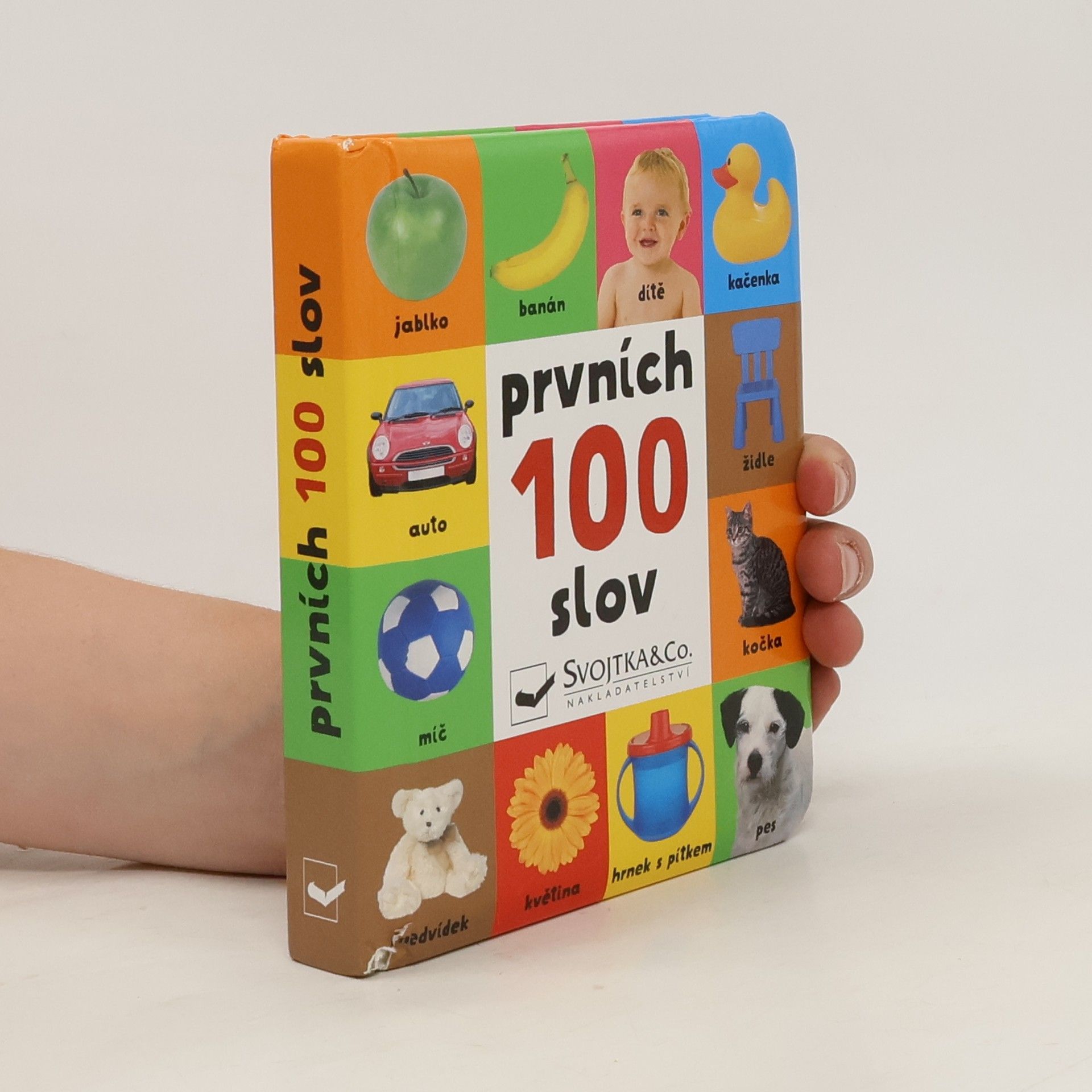 kolektiv Prvních 100 slov
