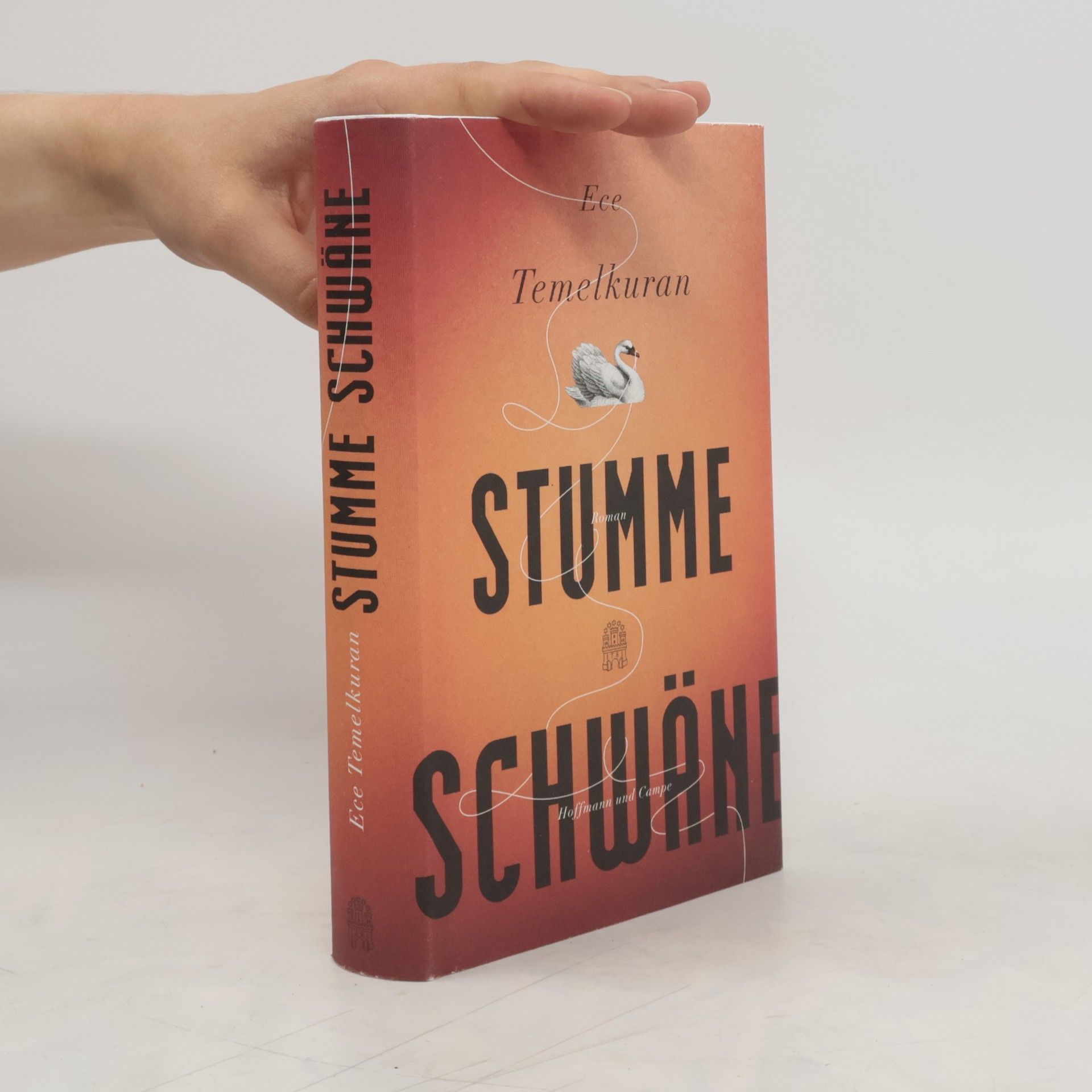 Ece Temelkuran Stumme Schwäne