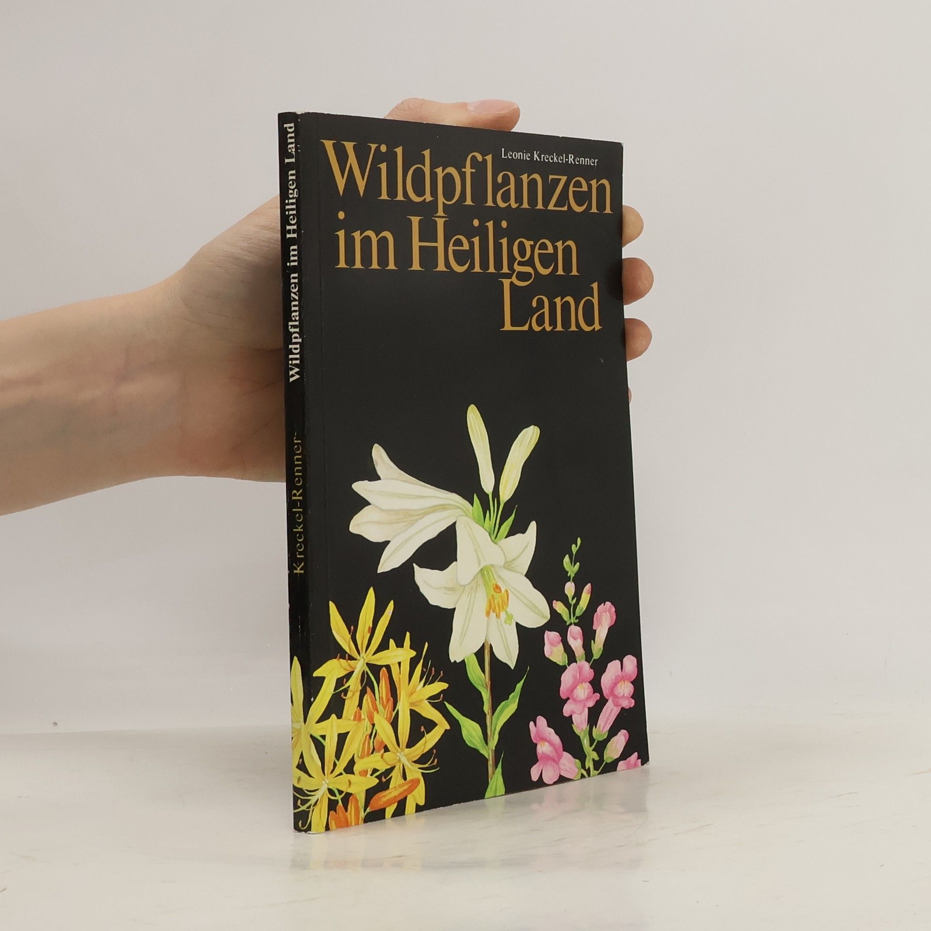 Collectif d'auteurs Wildpflanzen im Heiligen Land