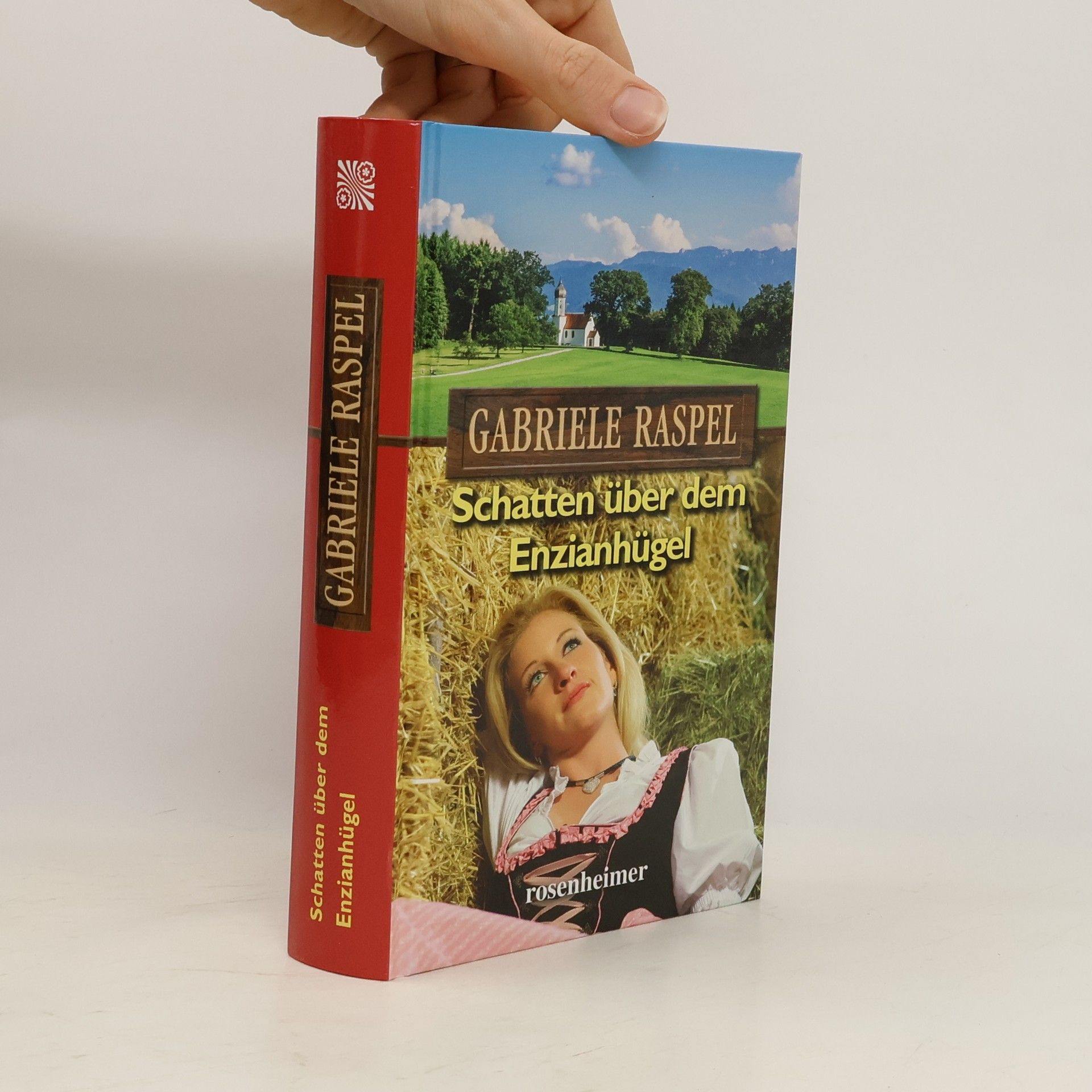 Gabriele Raspel Schatten über dem Enzianhügel