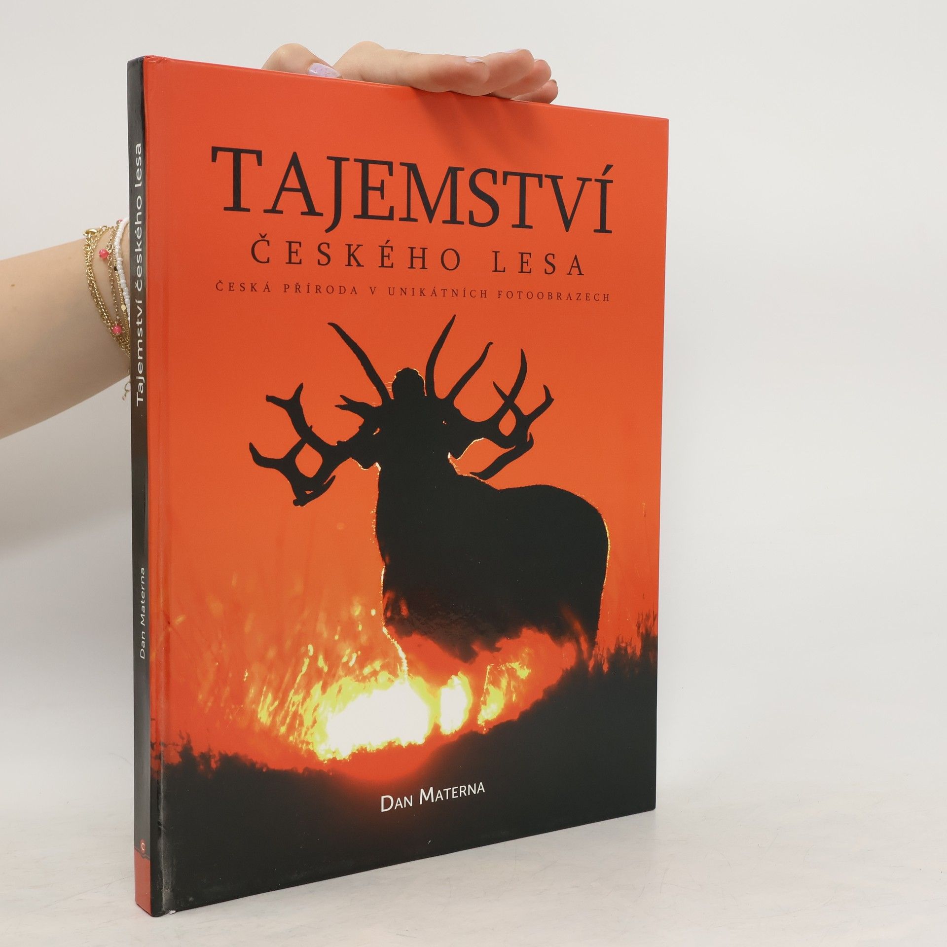 Dan Materna Tajemství českého lesa : česká příroda v unikátních fotoobrazech