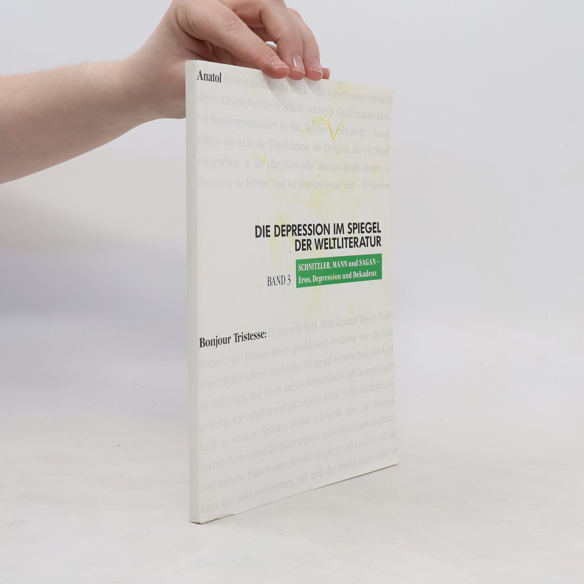 Collectif d'auteurs Die Depression im Spiegel der Weltliteratur 3