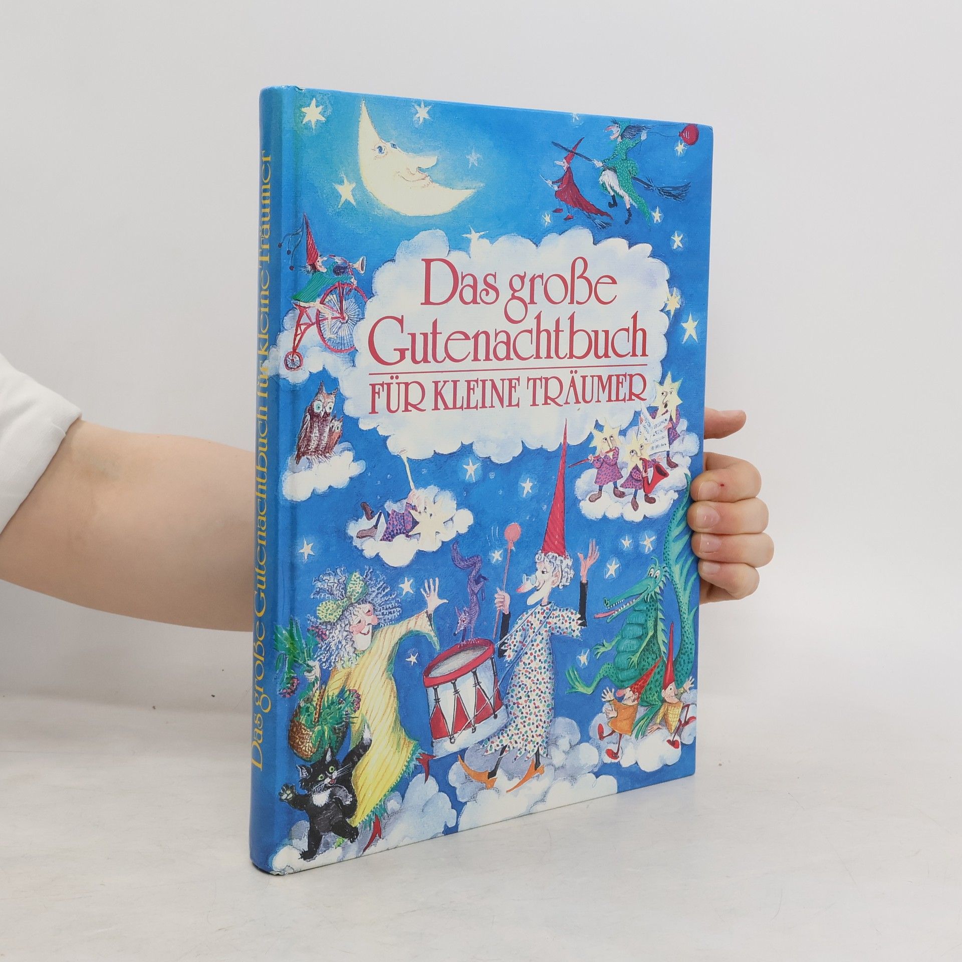 Waltraud Still Das grosse Gutenachtbuch für kleine Träumer