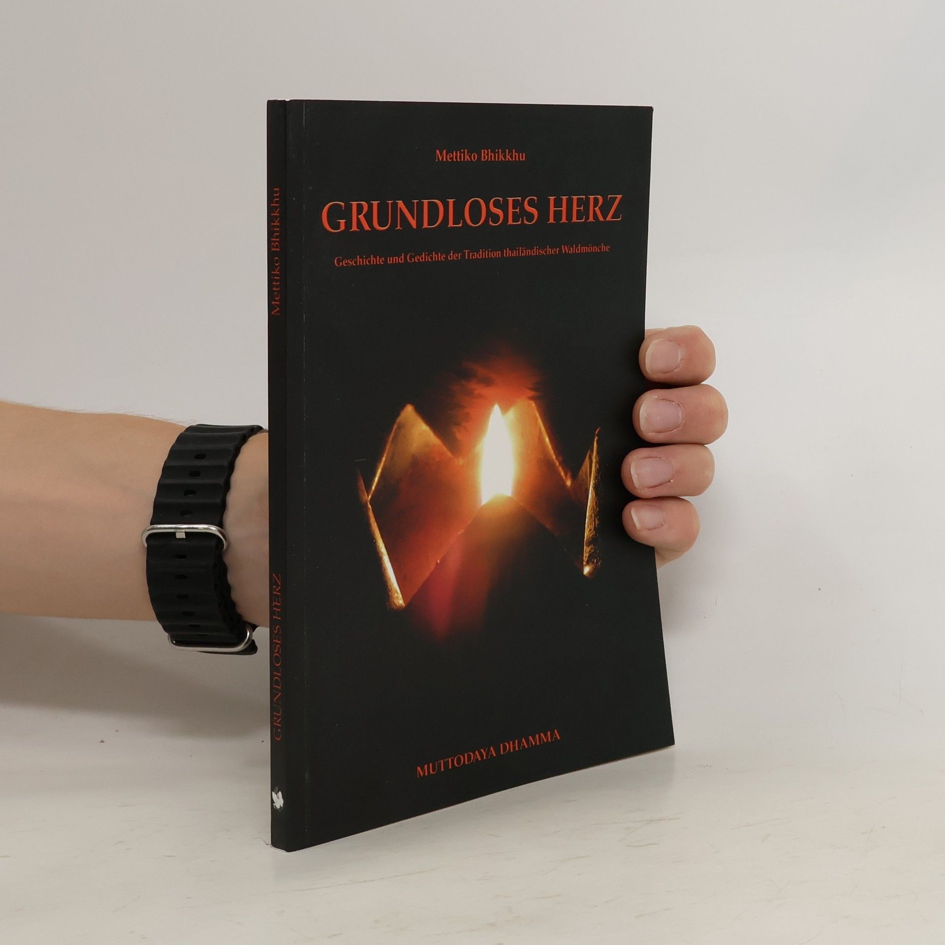 Mettiko Bhikkhu Grundloses herz