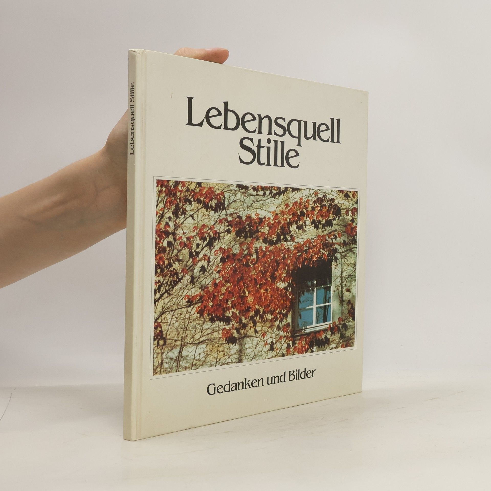 Janos Selmeczi Toth Lebensquell Stille