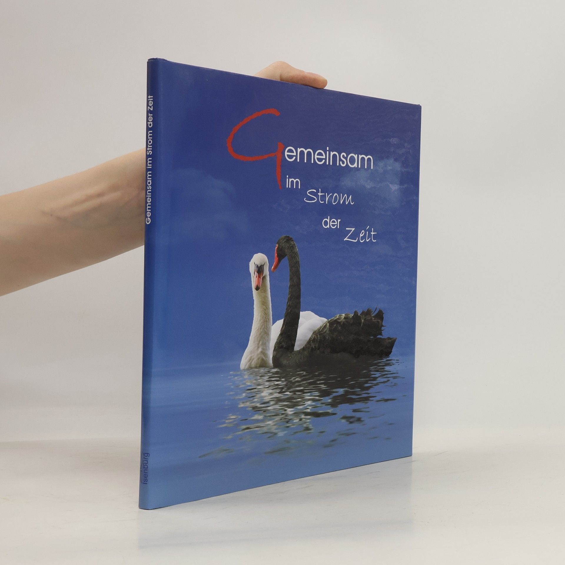 Autores varios Gemeinsam im Strom der Zeit