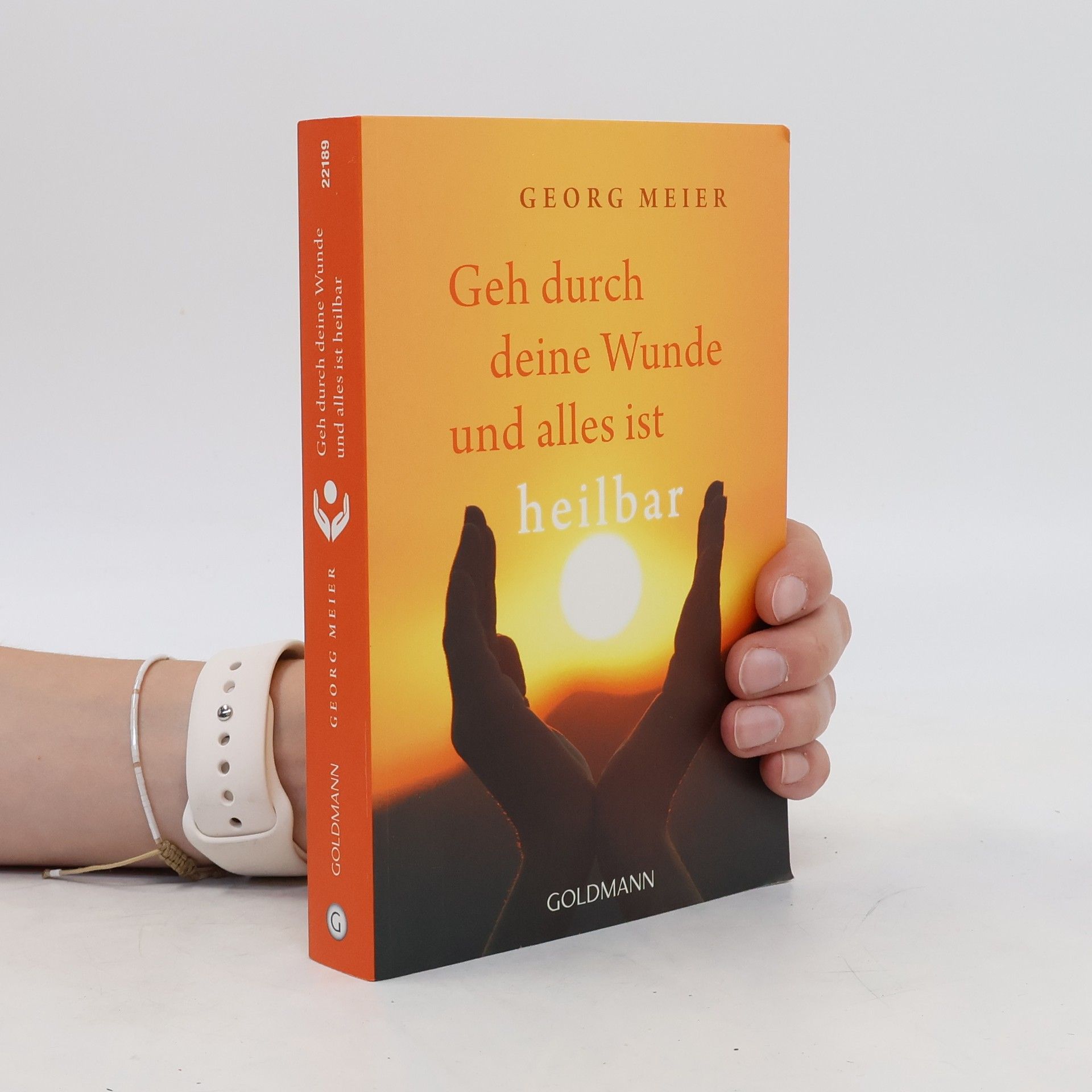 Georg Meier Geh durch deine Wunde und alles ist heilbar