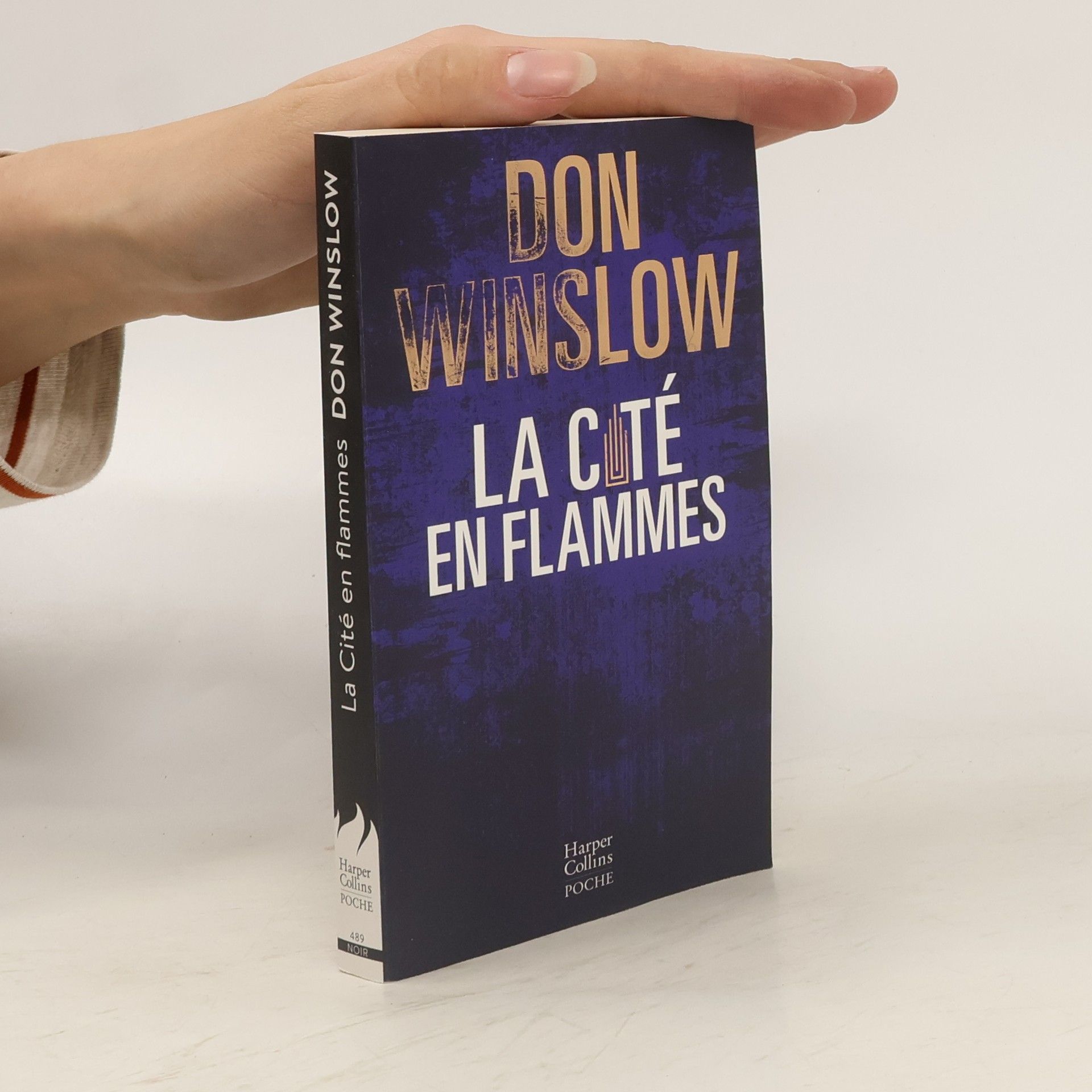 Don Winslow La cité en flammes