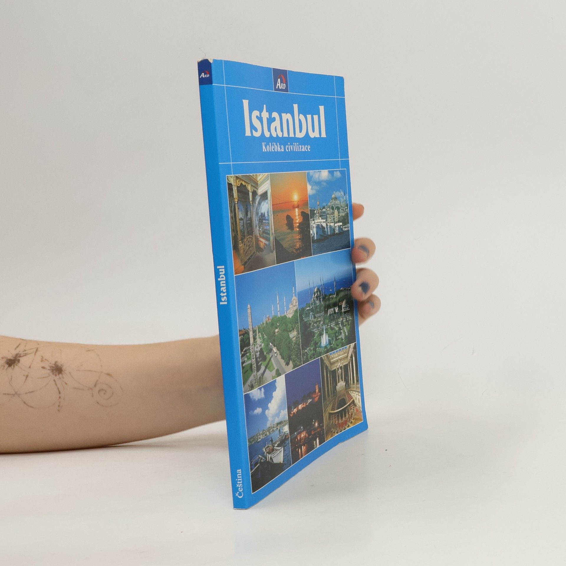 Autores varios Istanbul, kolébka civilizace