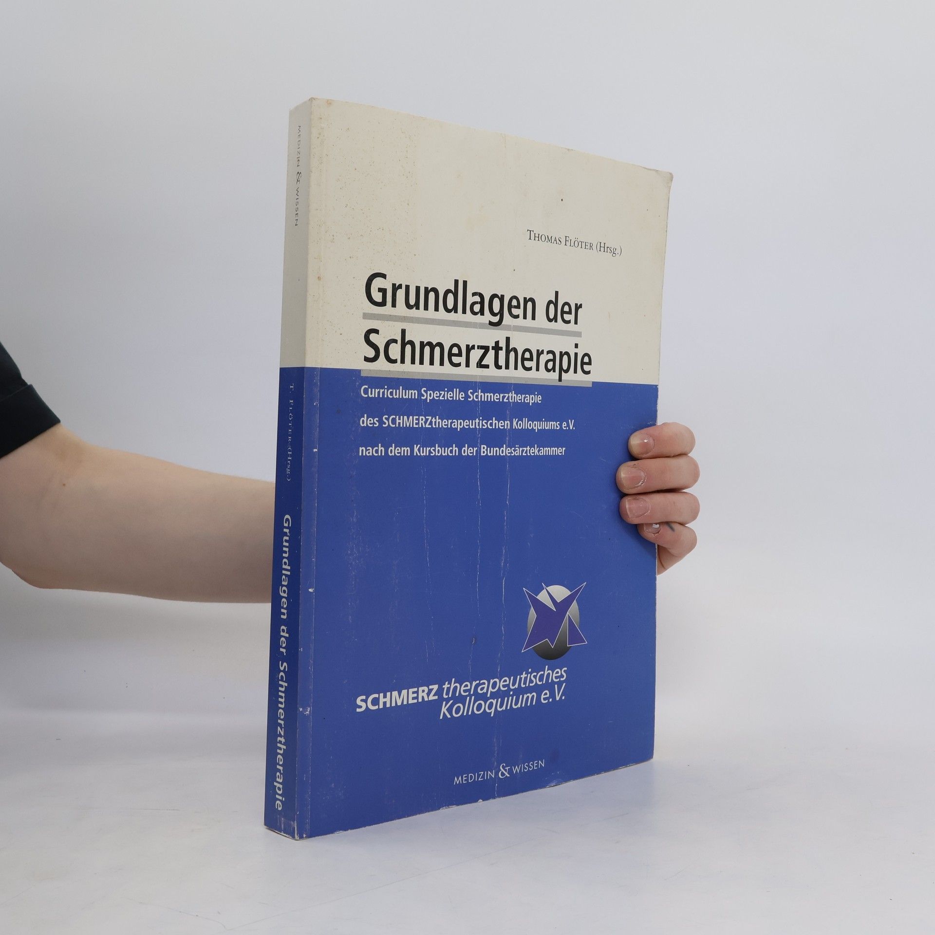 Thomas Flöter Grundlagen der Schmerztherapie