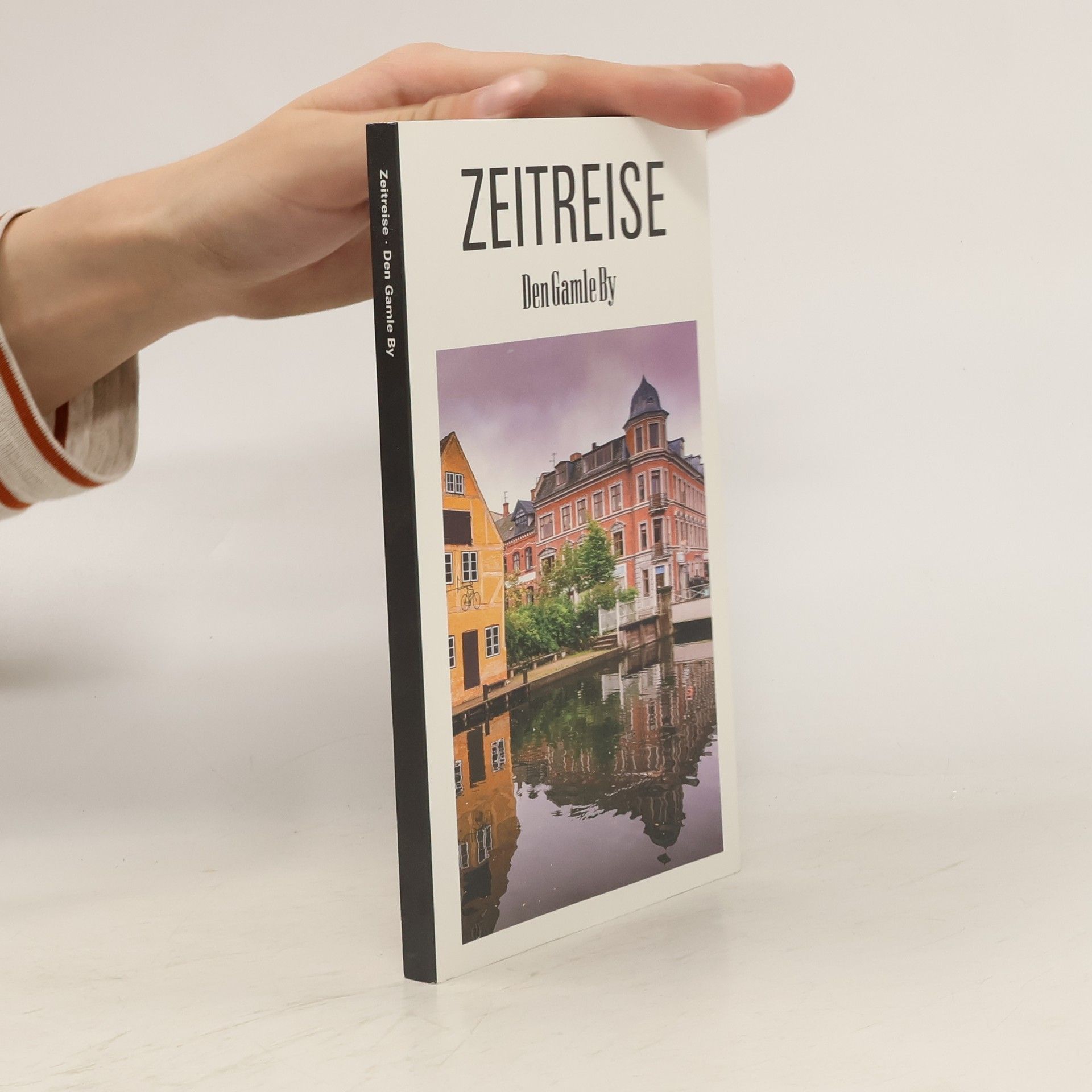 Elsebeth Aasted Schanz Zeitreise