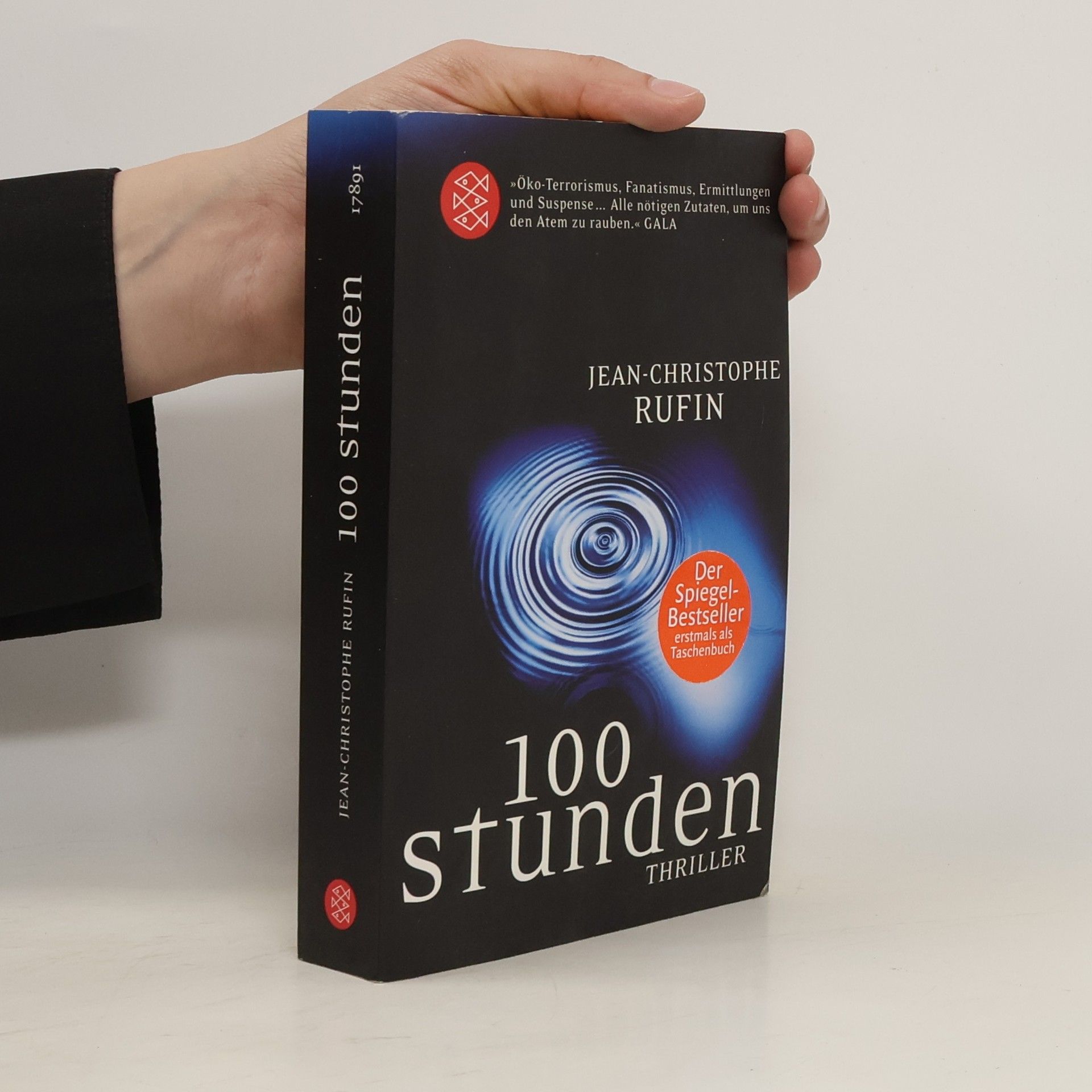 Jean Christophe Rufin 100 Stunden