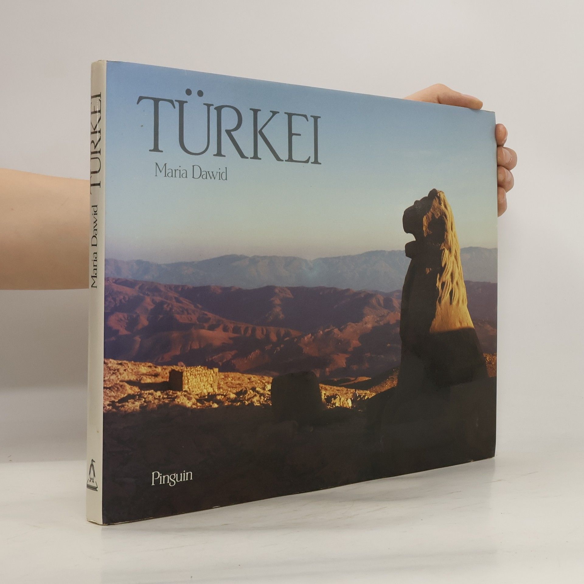 Maria Dawid Türkei